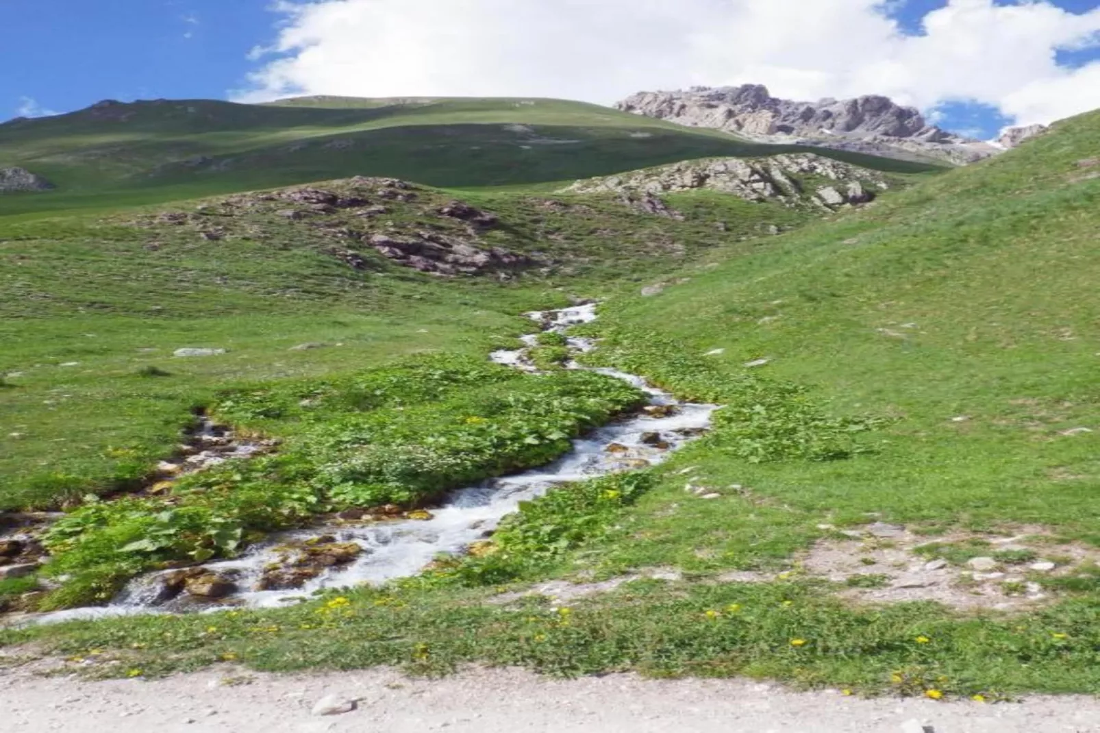 Chalet Le Mas des Neiges-Gebiete Sommer 20 km