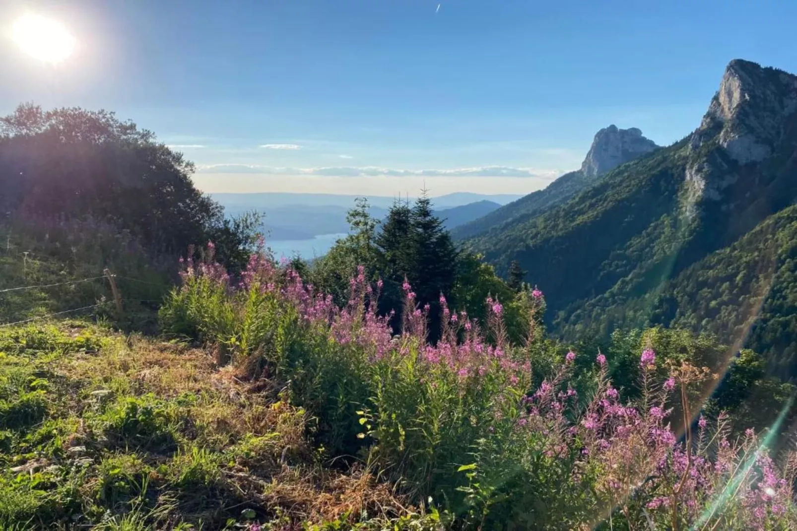 Le Birdie 3-Areas within 20km in summer
