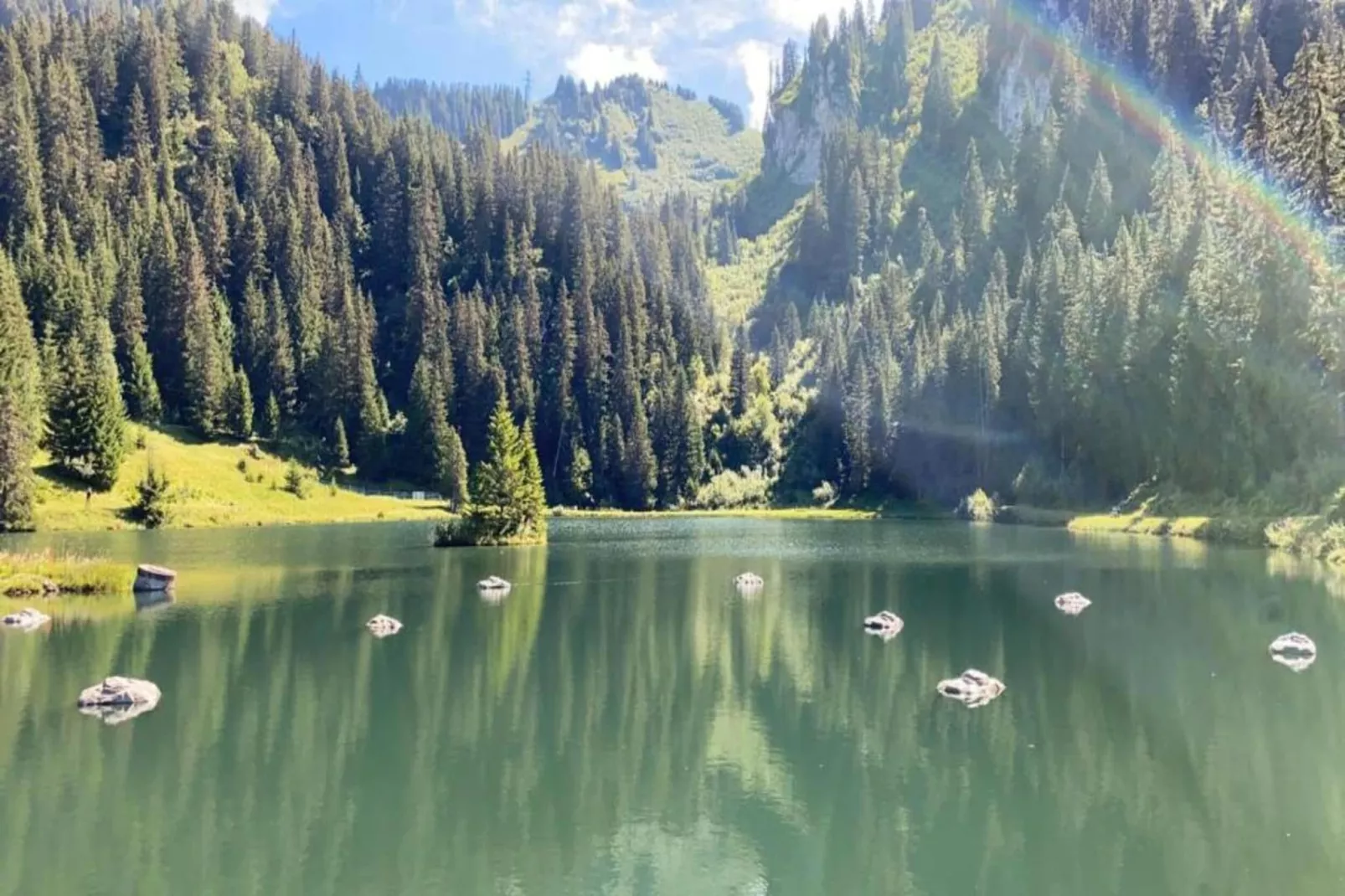 Chalet Sherwood Forest-Areas within 20km in summer