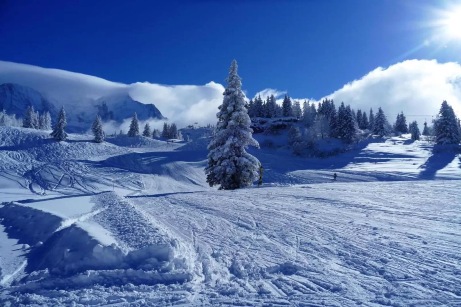 Chalet - LES HOUCHES-Zones été à 5 km