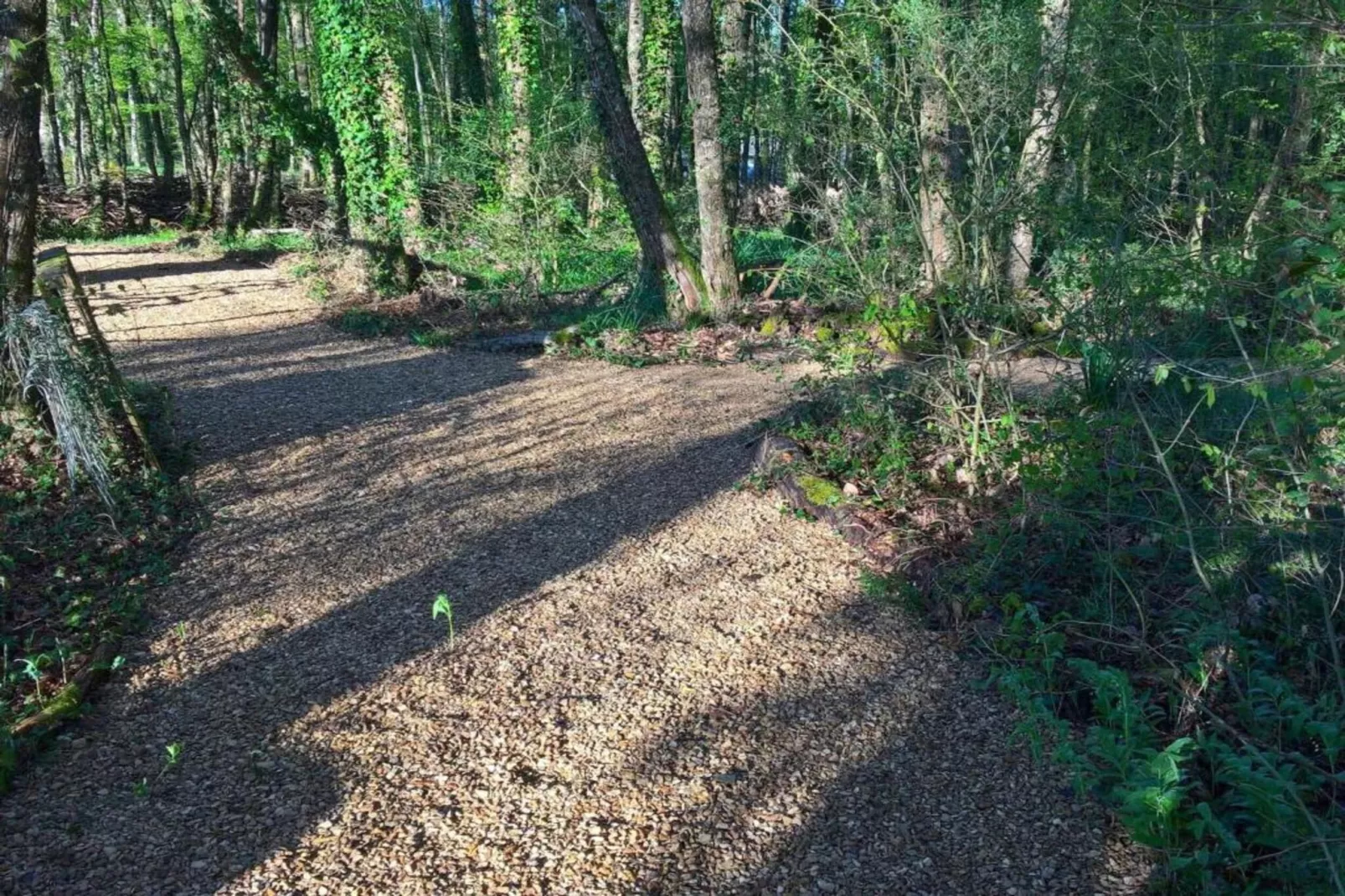 FranceComfort Domaine Les Forges 2-Areas within 20km in summer