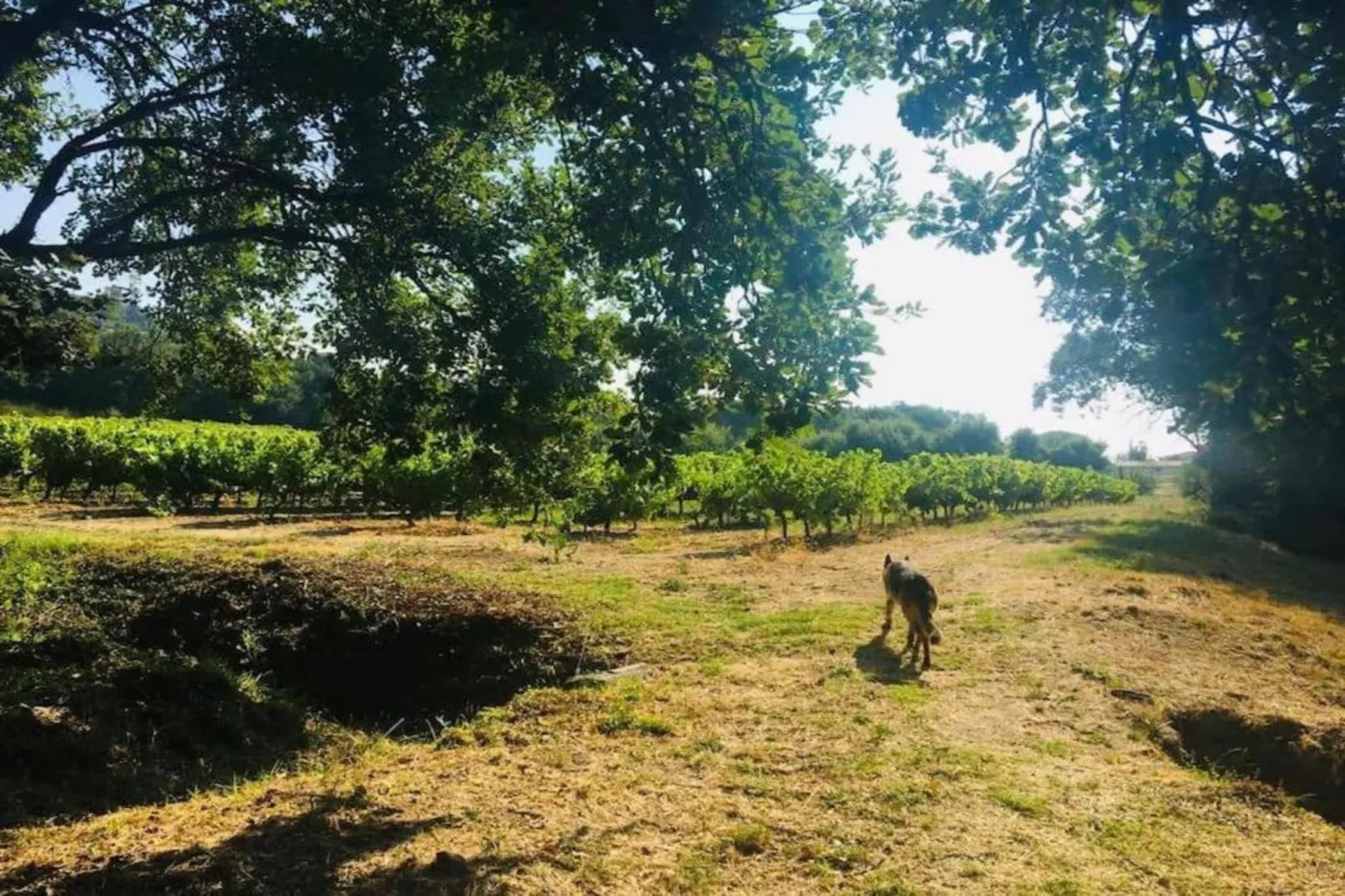 La Palmeraie 1-Areas within 5km in summer