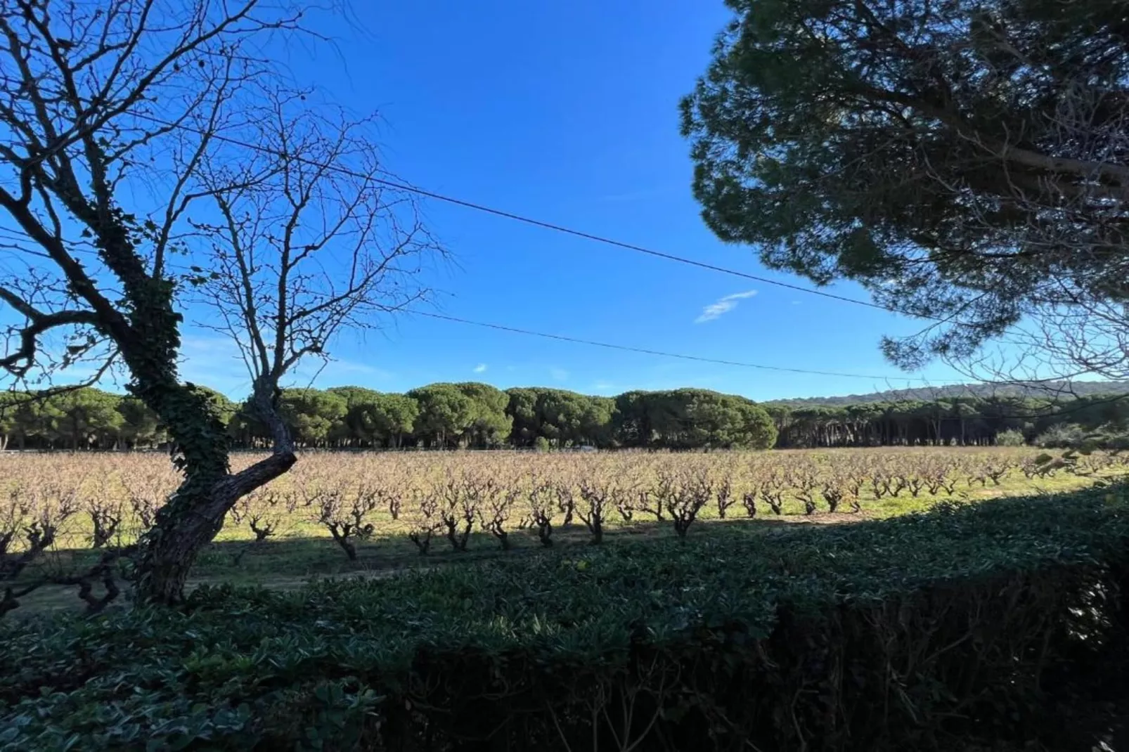 Villa petit Castellane  version 6 pers-Areas within 20km in summer