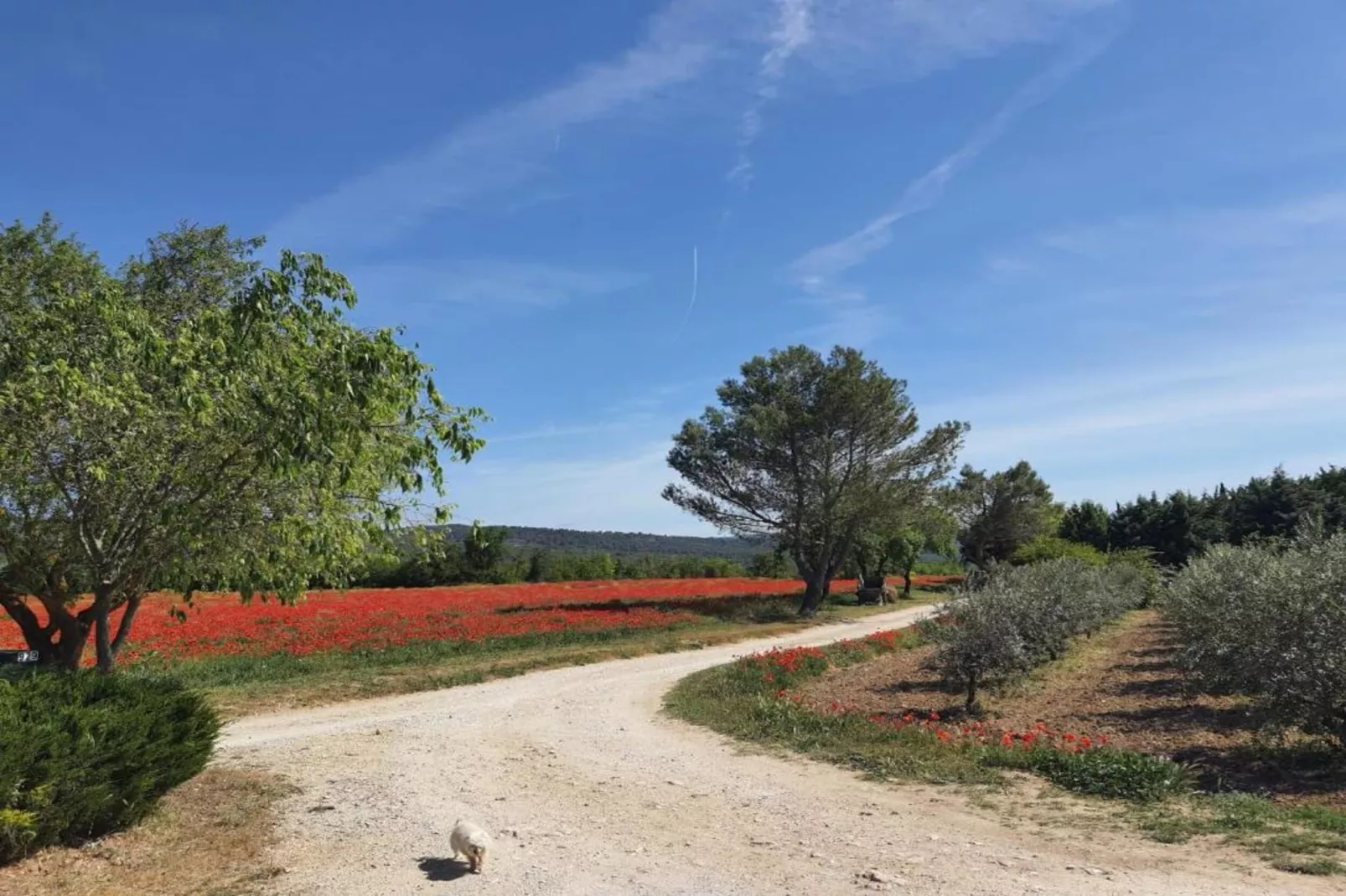La Bastide des Chênes 2-Gebiete Sommer 20 km