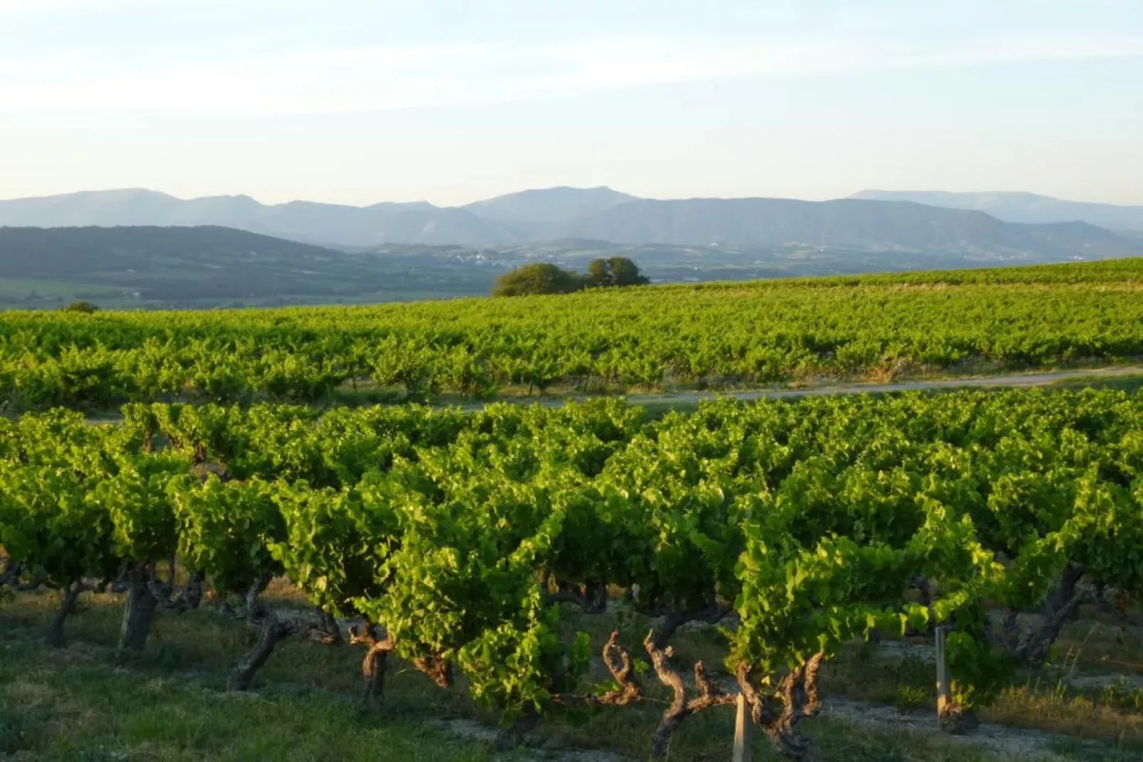 Entre Luberon et Avignon-Areas within 20km in summer