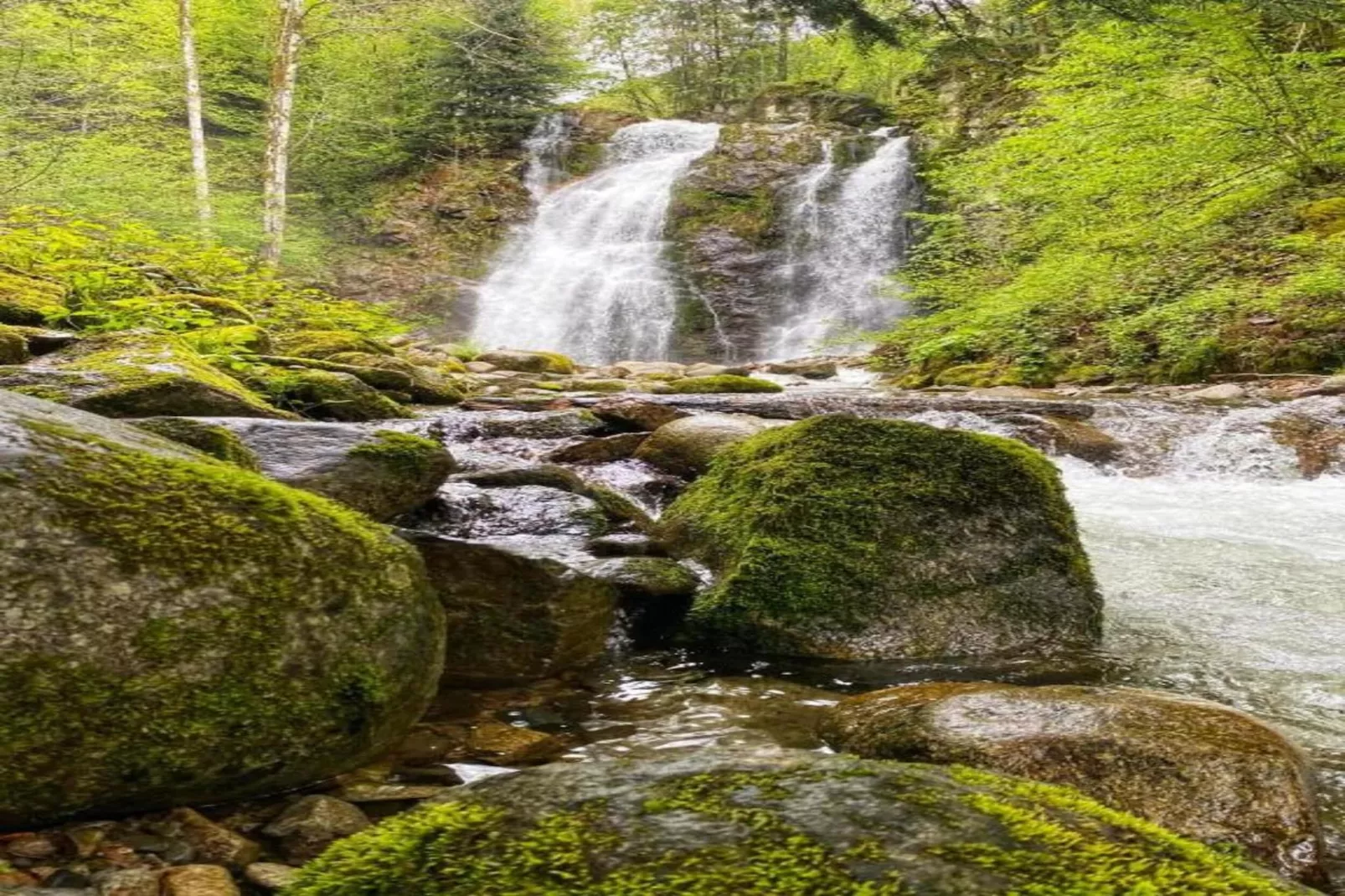 La Bergerie-Areas within 20km in summer