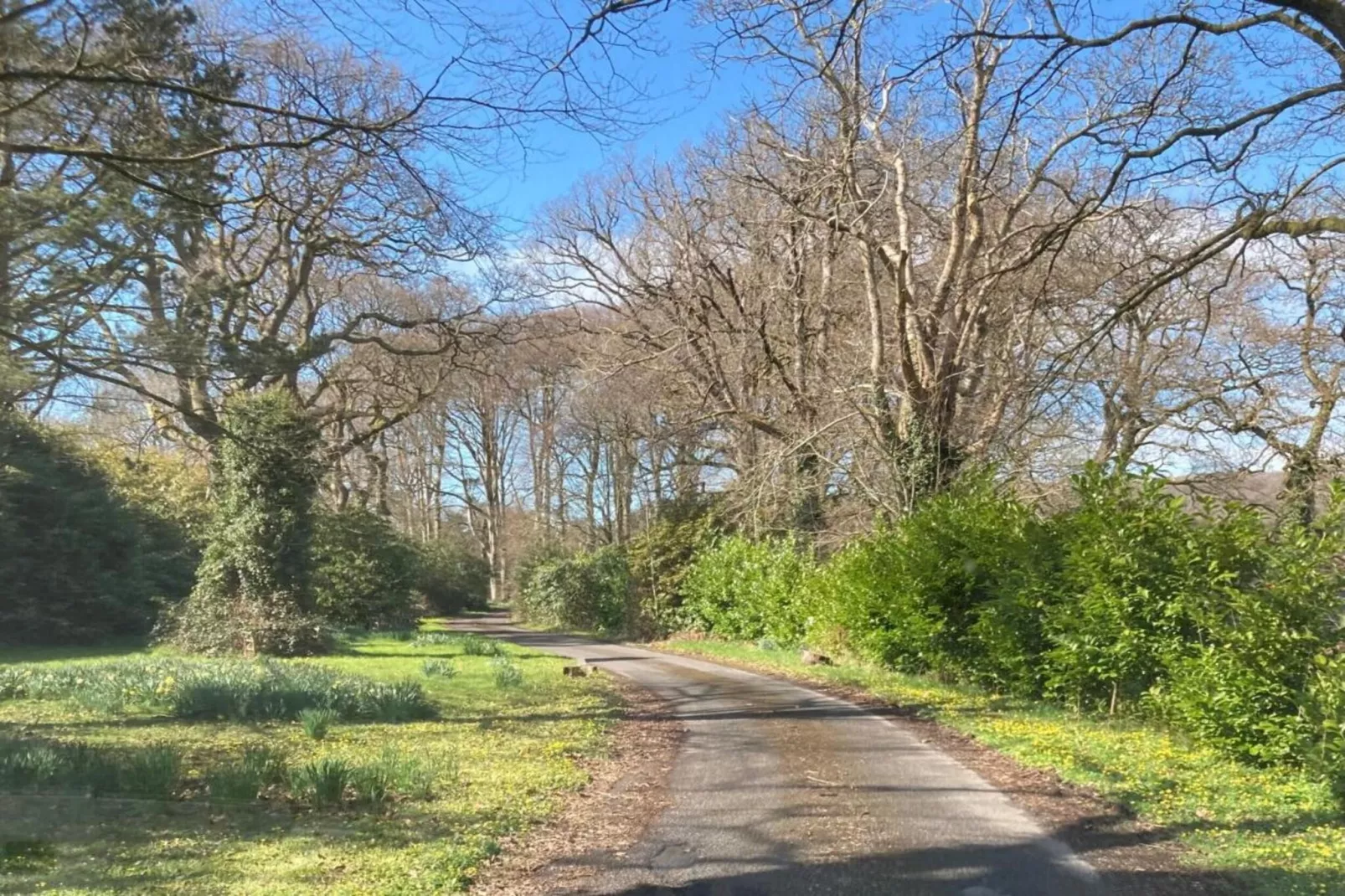 Brodawel - The Cottage-Gebiete Sommer 20 km