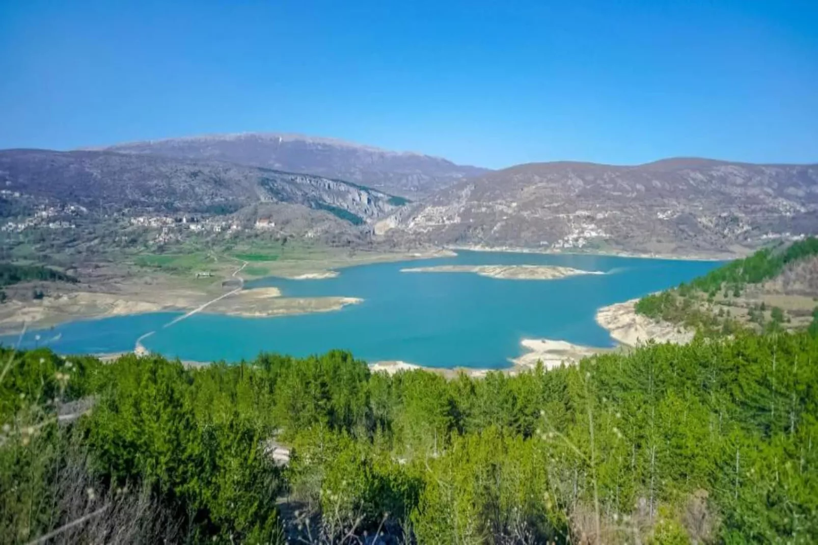 Rosa-Areas within 5km in summer
