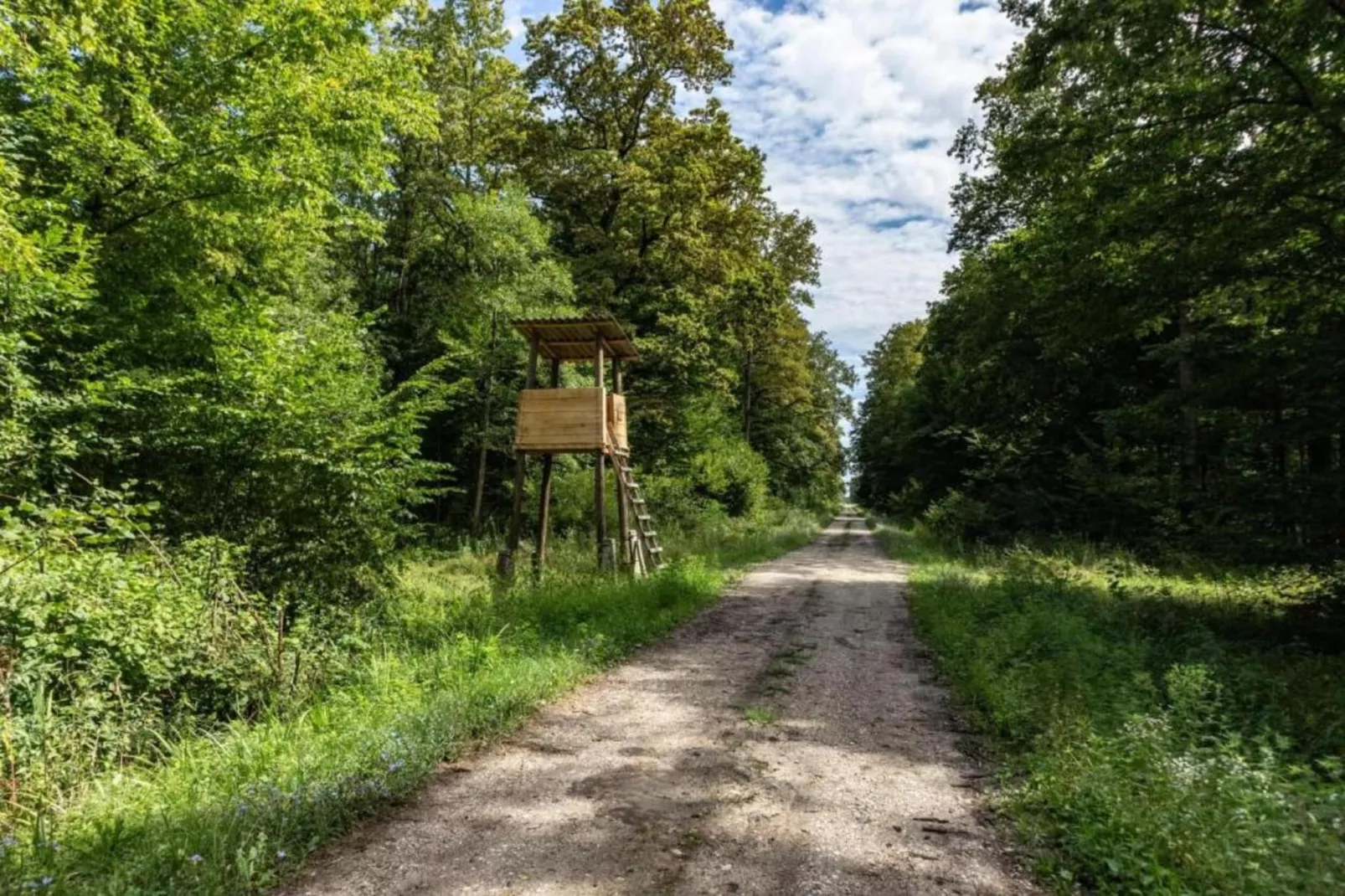 Holiday home near Zagreb-Areas within 5km in summer