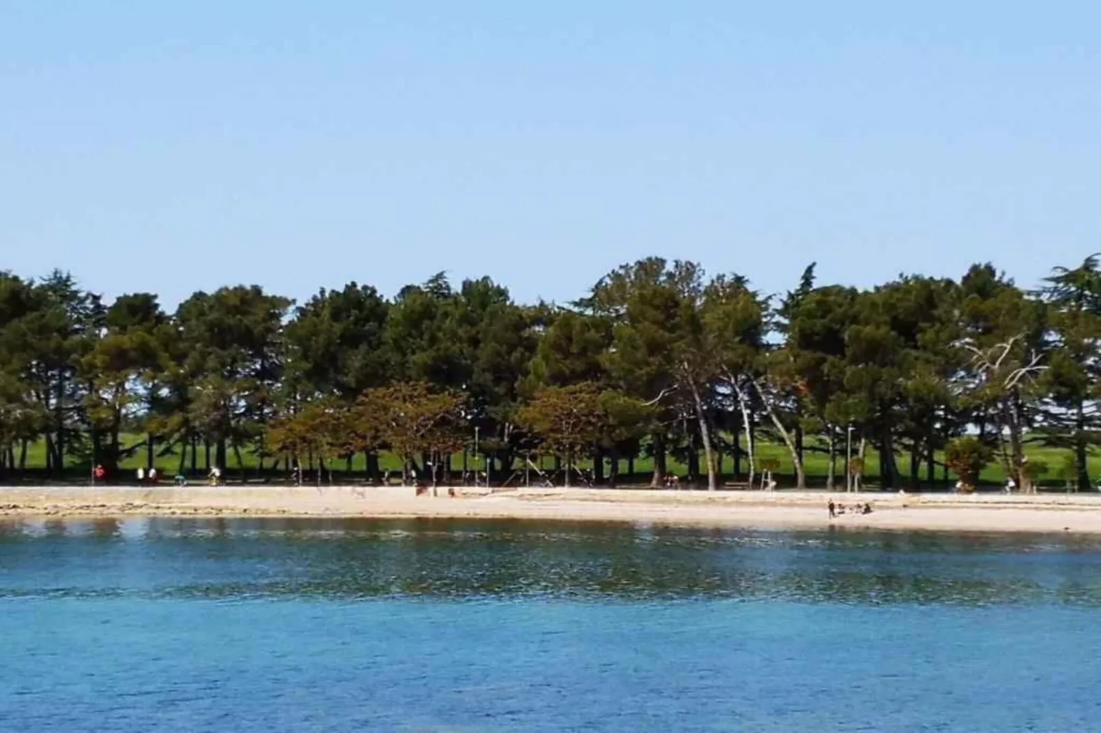Casa Vacanza Orsera-Areas within 1km in summer