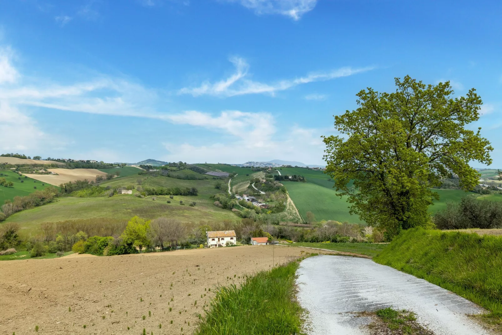Casale degli Ulivi