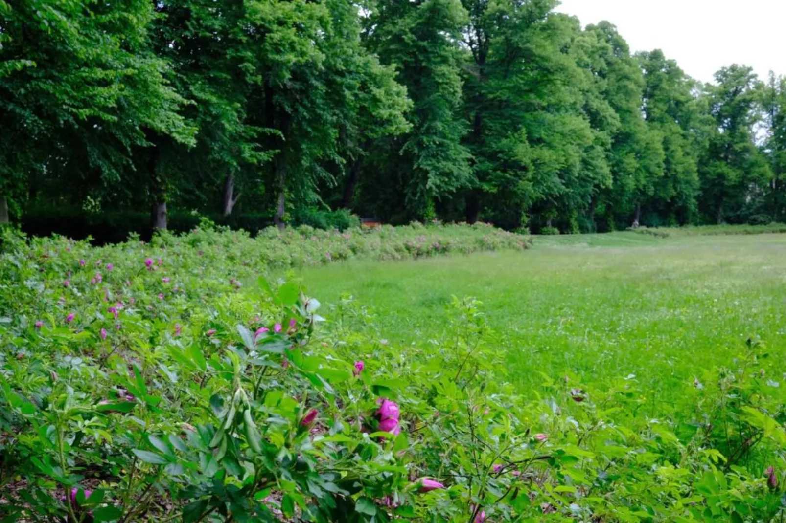 Priore-Areas within 20km in summer