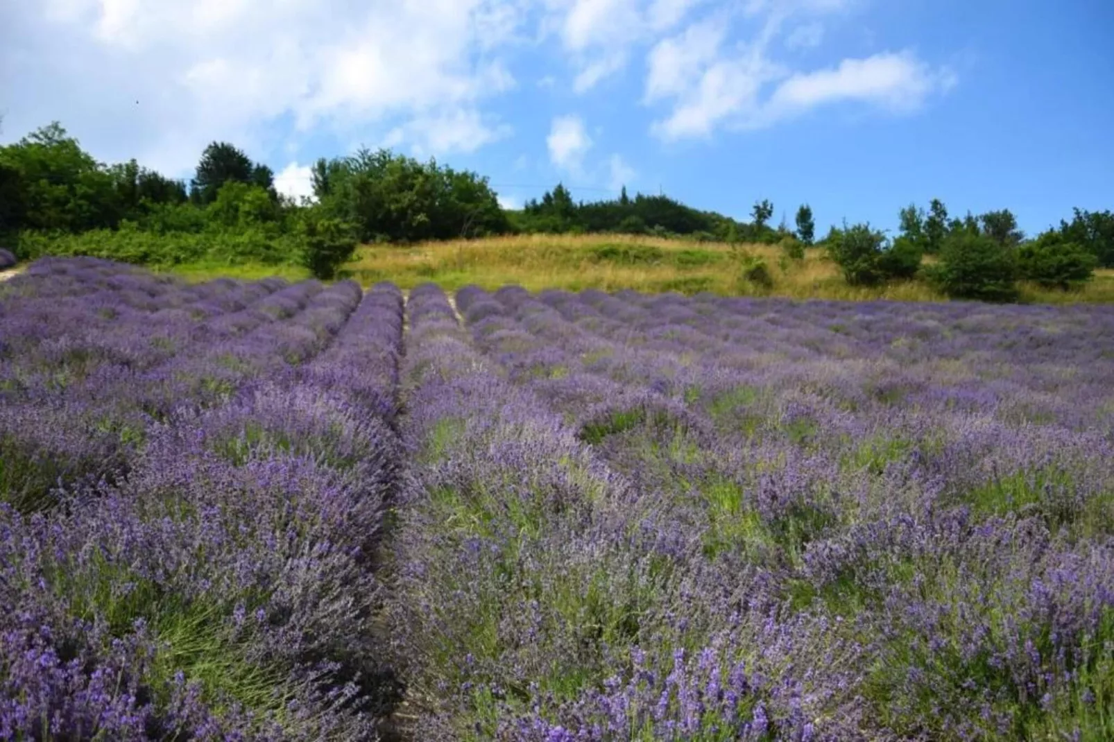 Bastia-Areas within 20km in summer