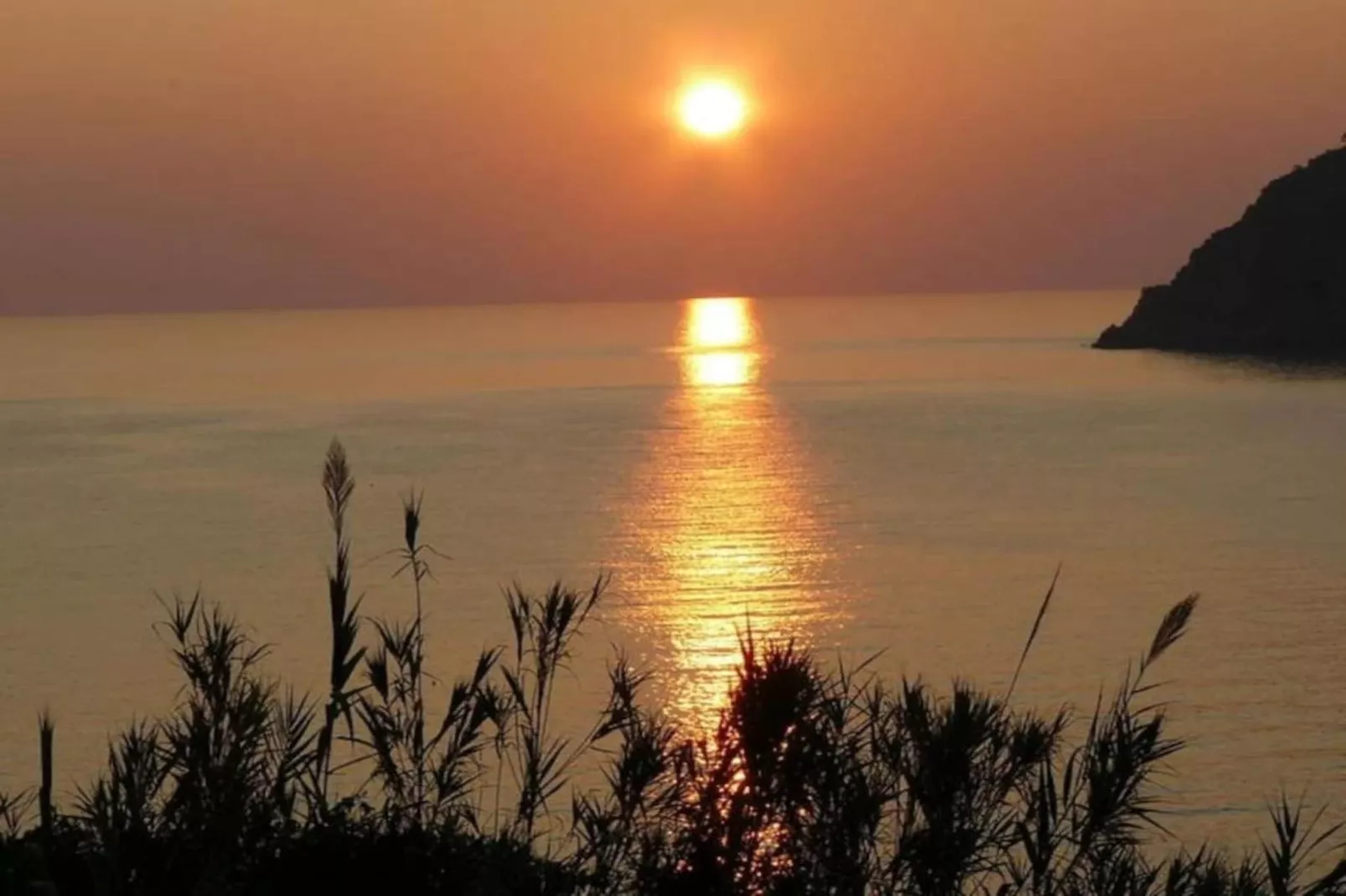 Pizzamiglio Due-Areas within 20km in summer