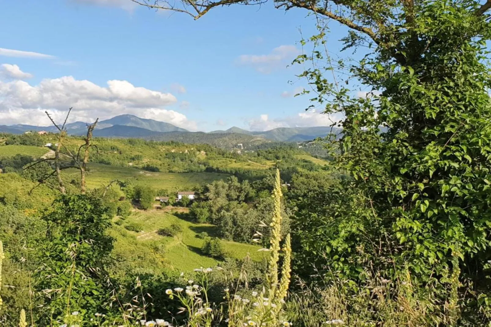 Nobile-Areas within 20km in summer