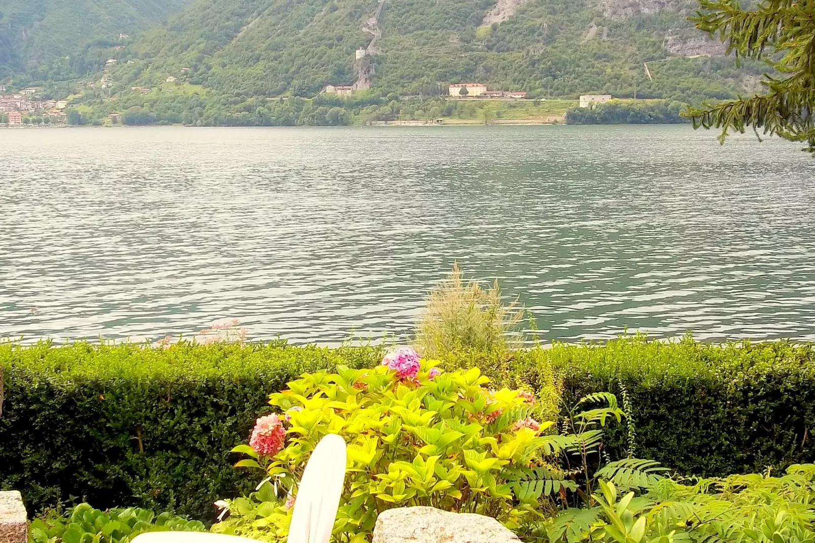 Fienile Regoli Due-Areas within 1km in summer