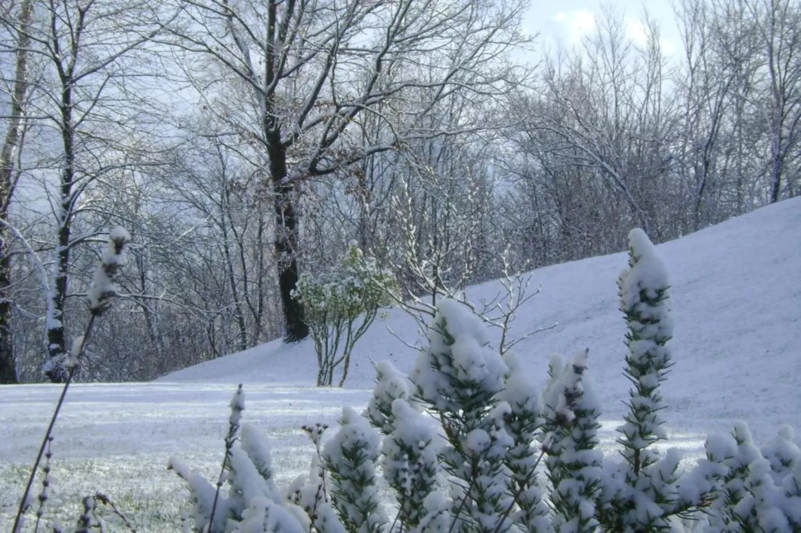 Casa delle Alpi-Area within 20km in winter