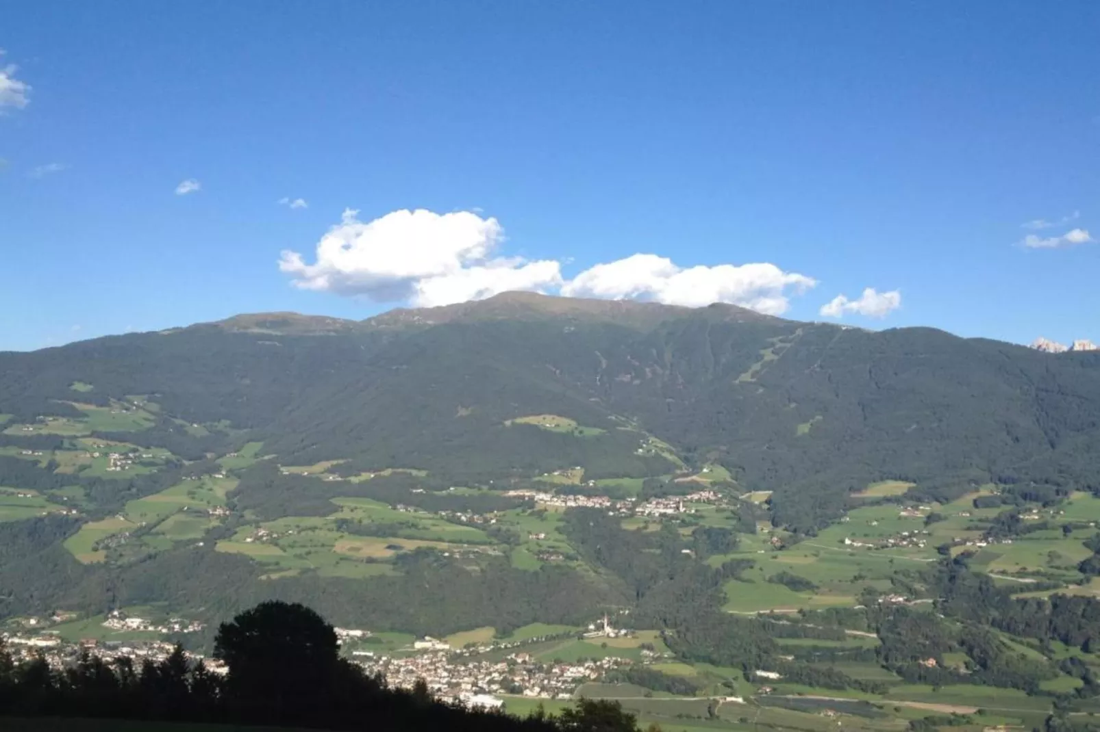 Rosalpina-Areas within 20km in summer
