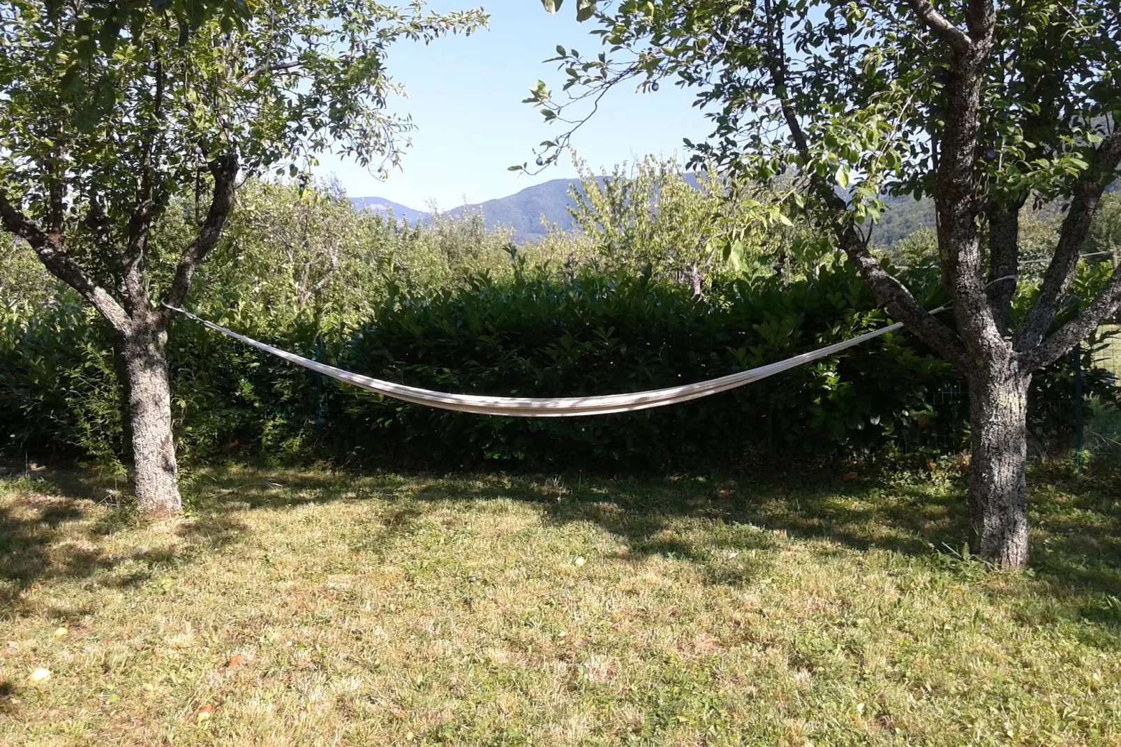 Casa Via Pieve-Gardens in summer