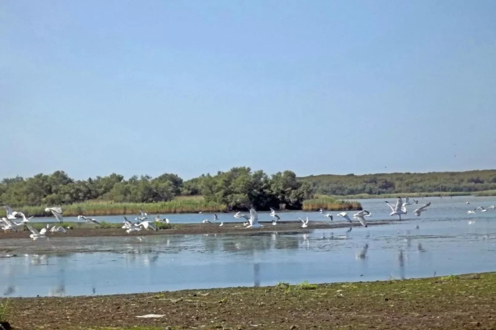 Oasi Bianca-Areas within 20km in summer