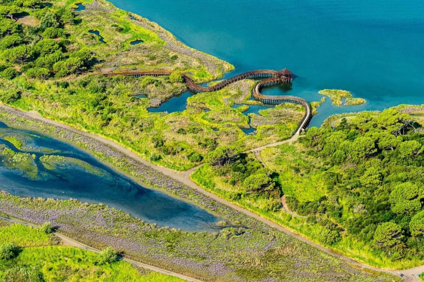Federica 10/5-Gebiete Sommer 1 km
