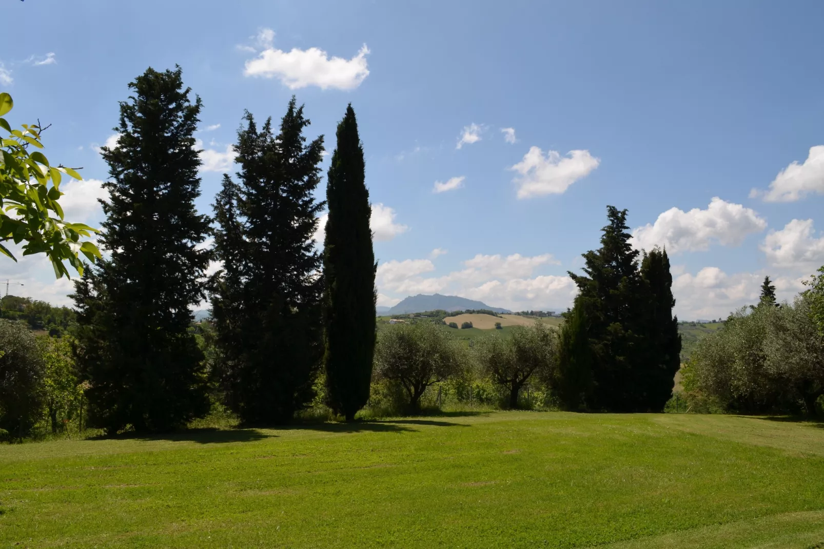 Villa degli Ulivi-Jardins en été
