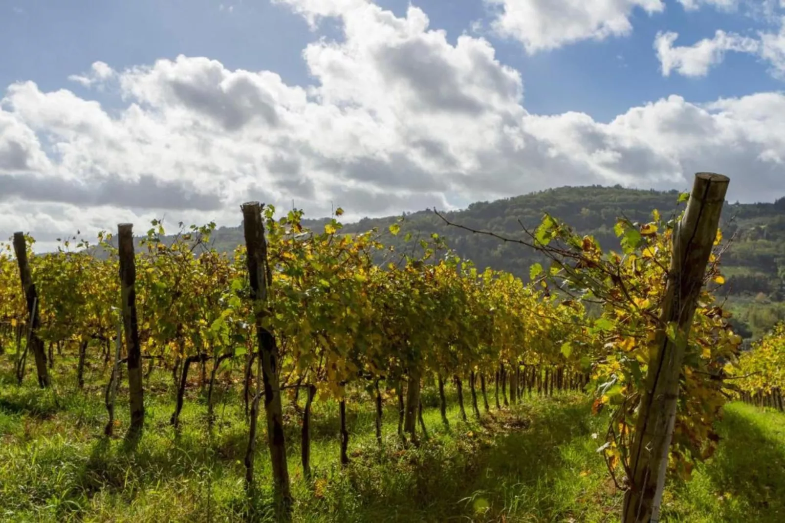 Sopra Nisa-Areas within 20km in summer