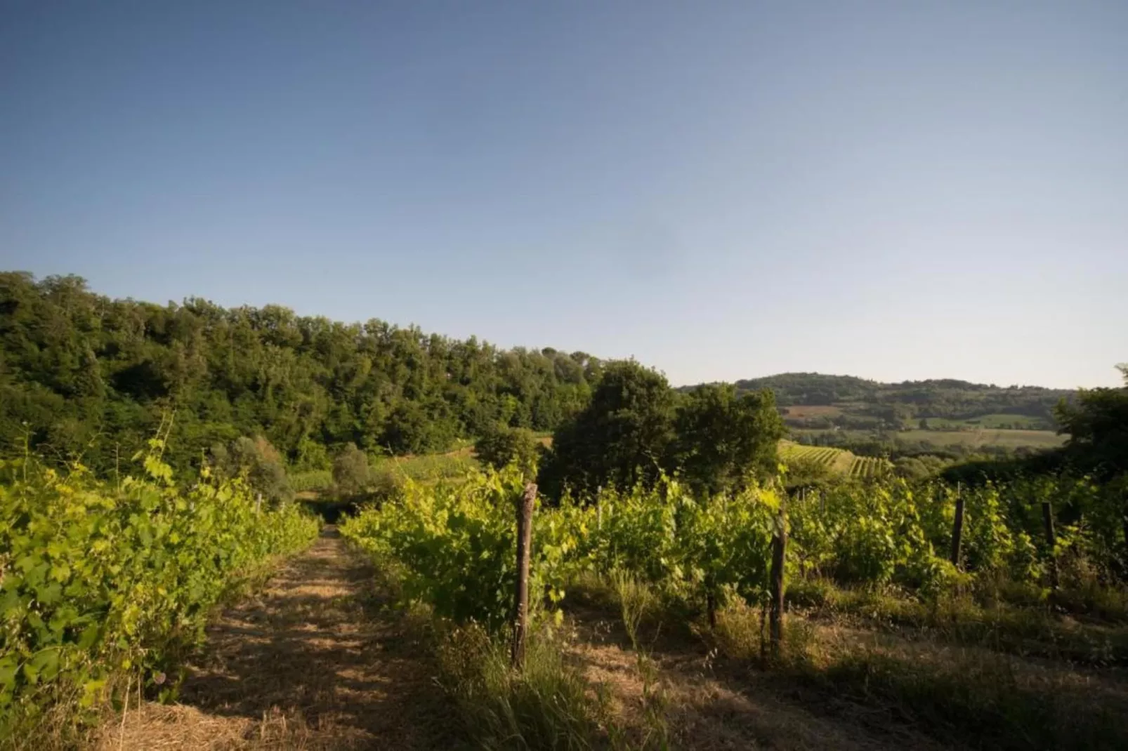 Casalini 2-Areas within 5km in summer