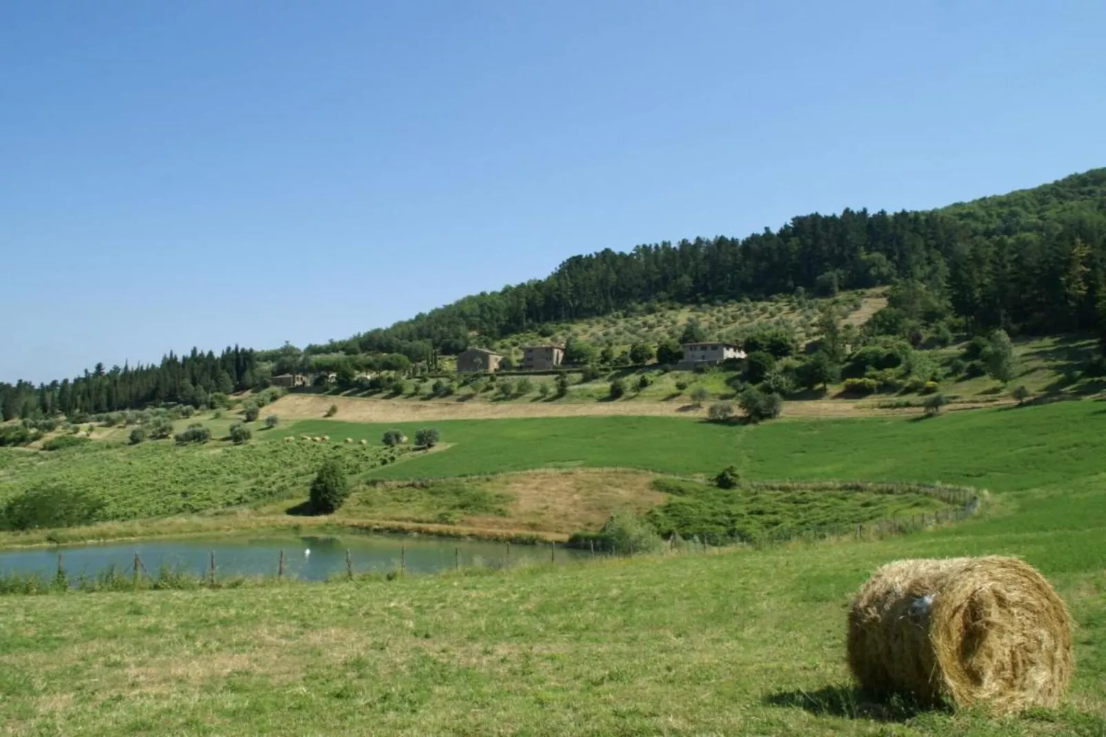 Aia-Areas within 20km in summer