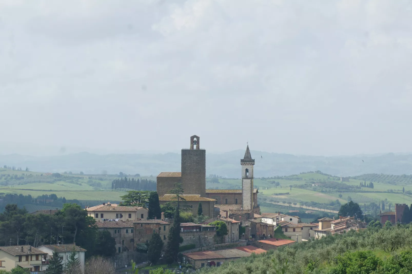 Leonardo-Areas within 5km in summer