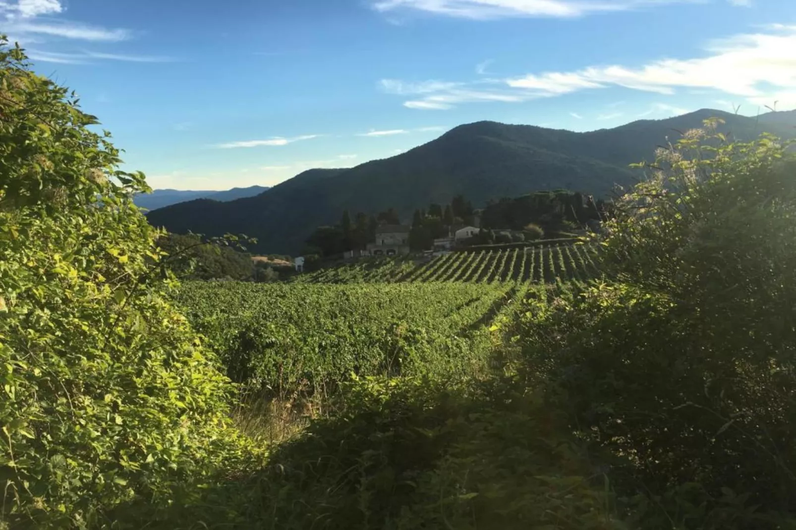 Camino Ugo-Areas within 20km in summer