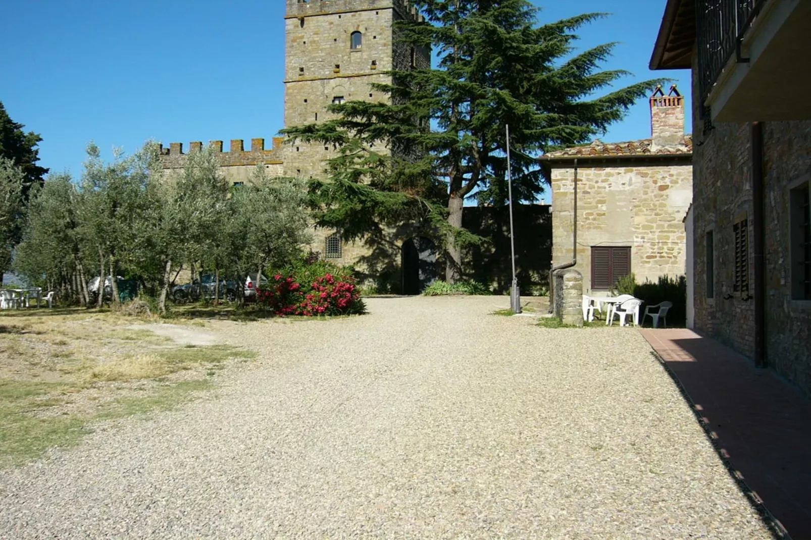 Trebbiano-Exterior in summer