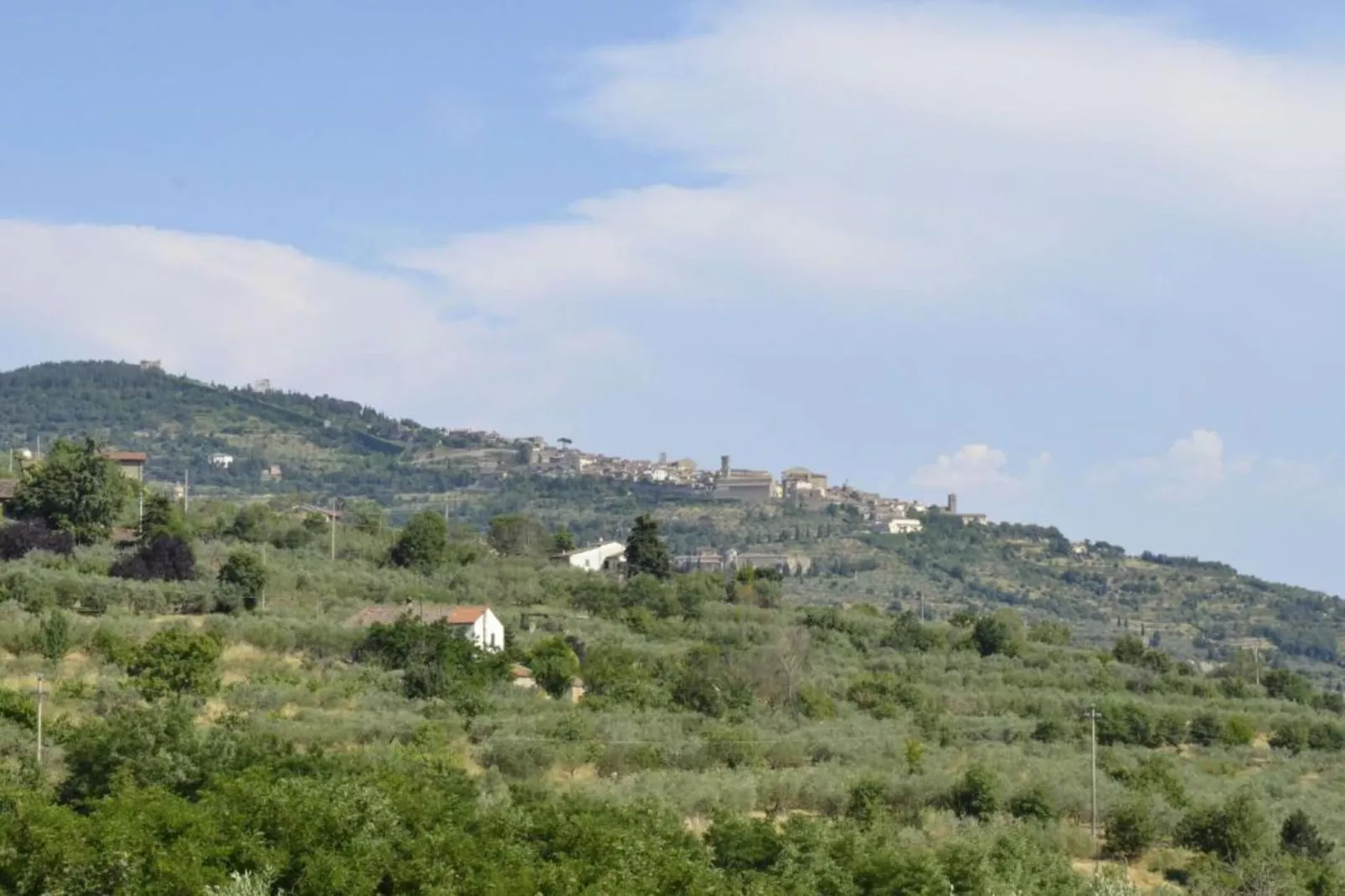 Camillo-Areas within 20km in summer