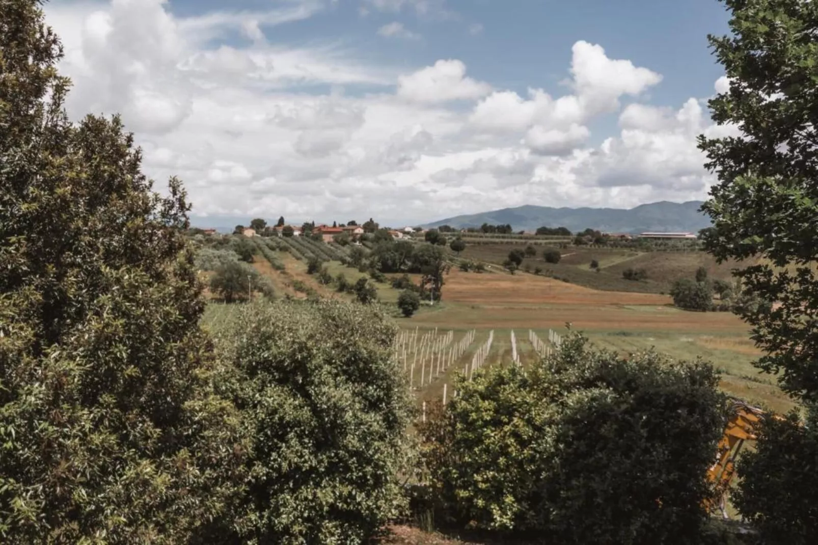 Castagno del Riccio-Areas within 5km in summer
