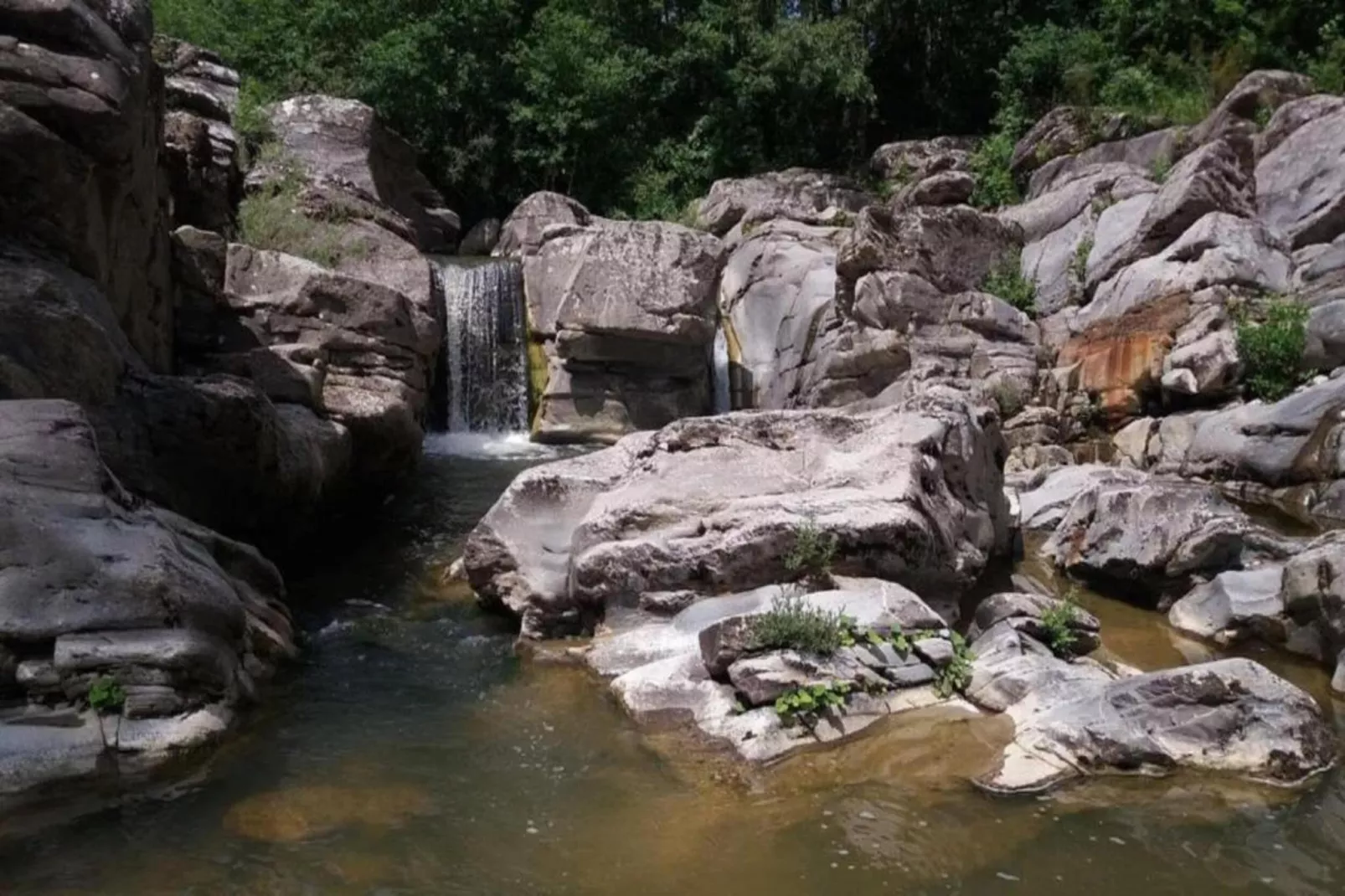 Ginestra1-Areas within 20km in summer