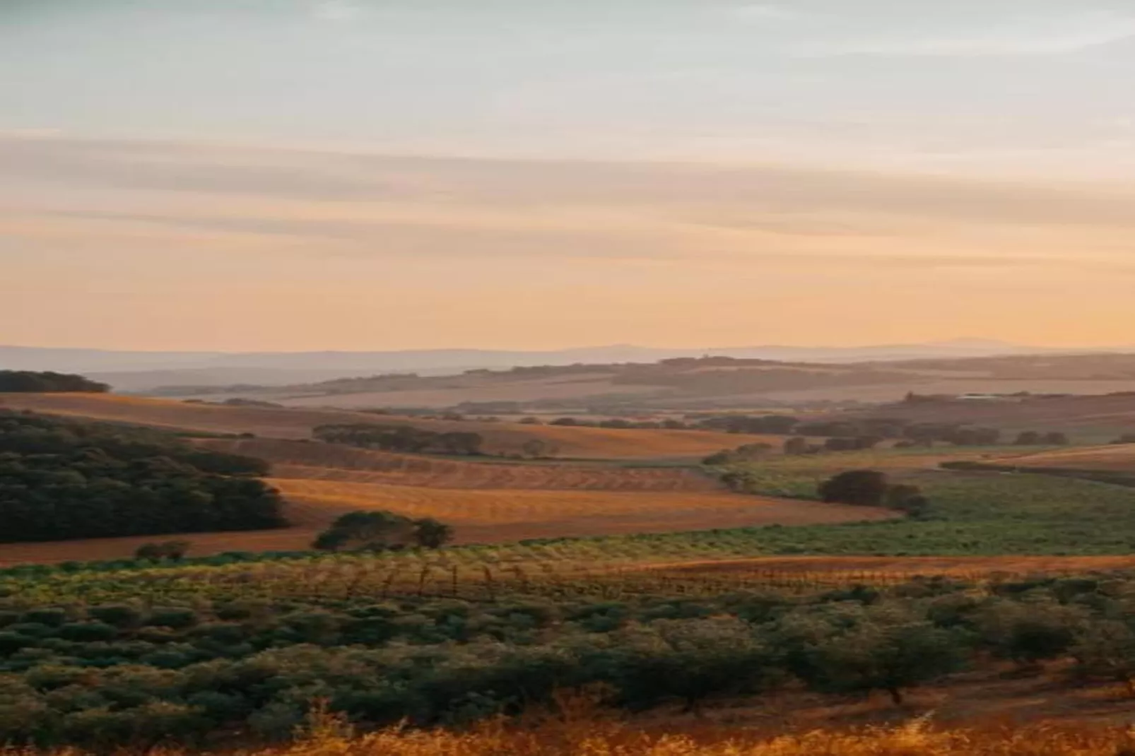 Matilde-Areas within 5km in summer
