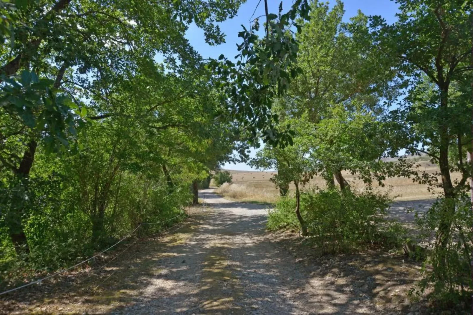 Tarugi-Gebiete Sommer 5 km