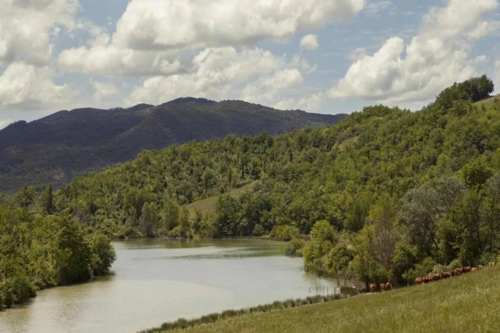 Villino Uno-Areas within 20km in summer