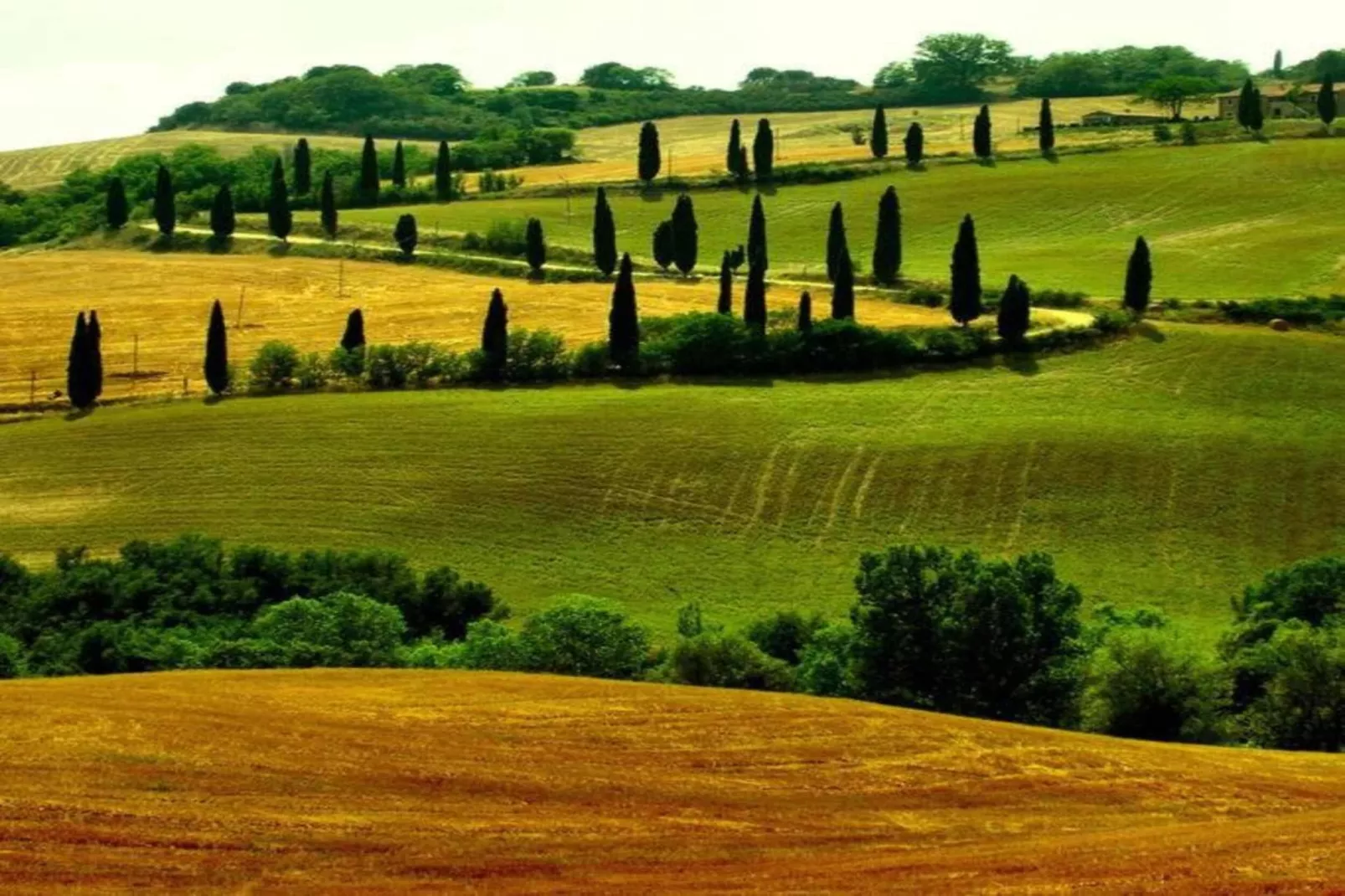 La Logetta-Areas within 5km in summer