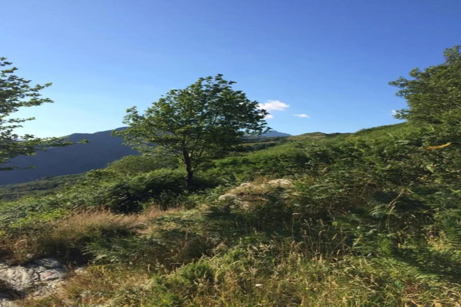 Casa Irene-Zones été à 20 km