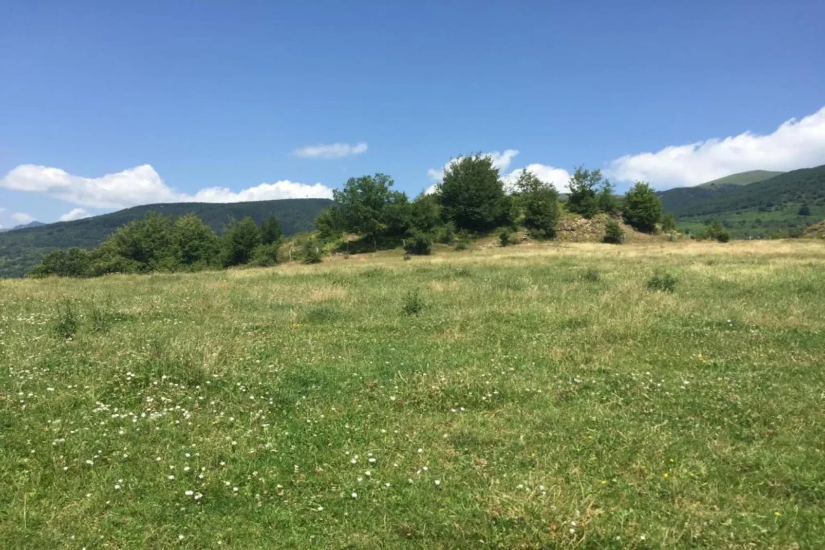 Renzo-Areas within 20km in summer