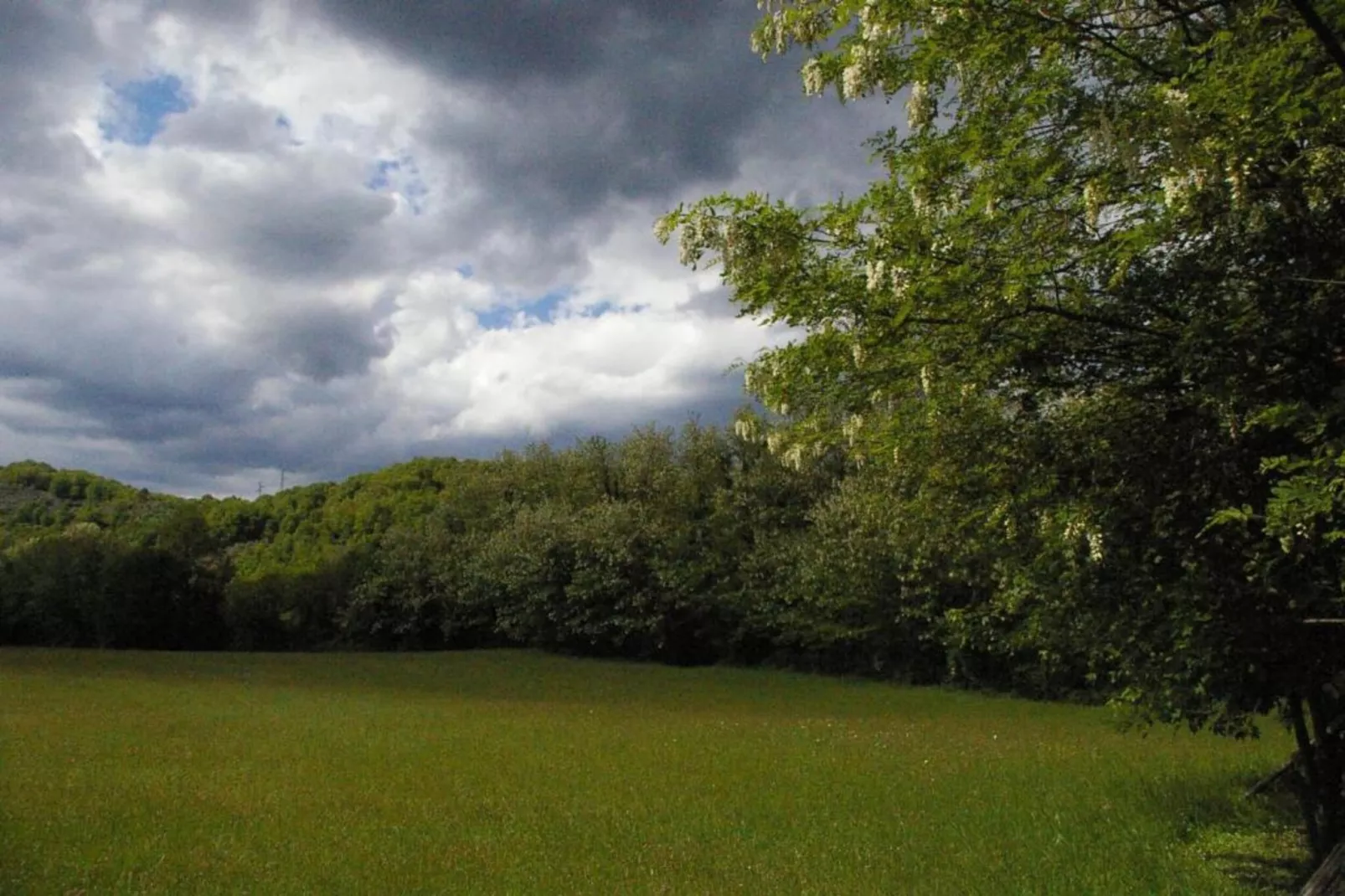 Argilla 3-Areas within 20km in summer