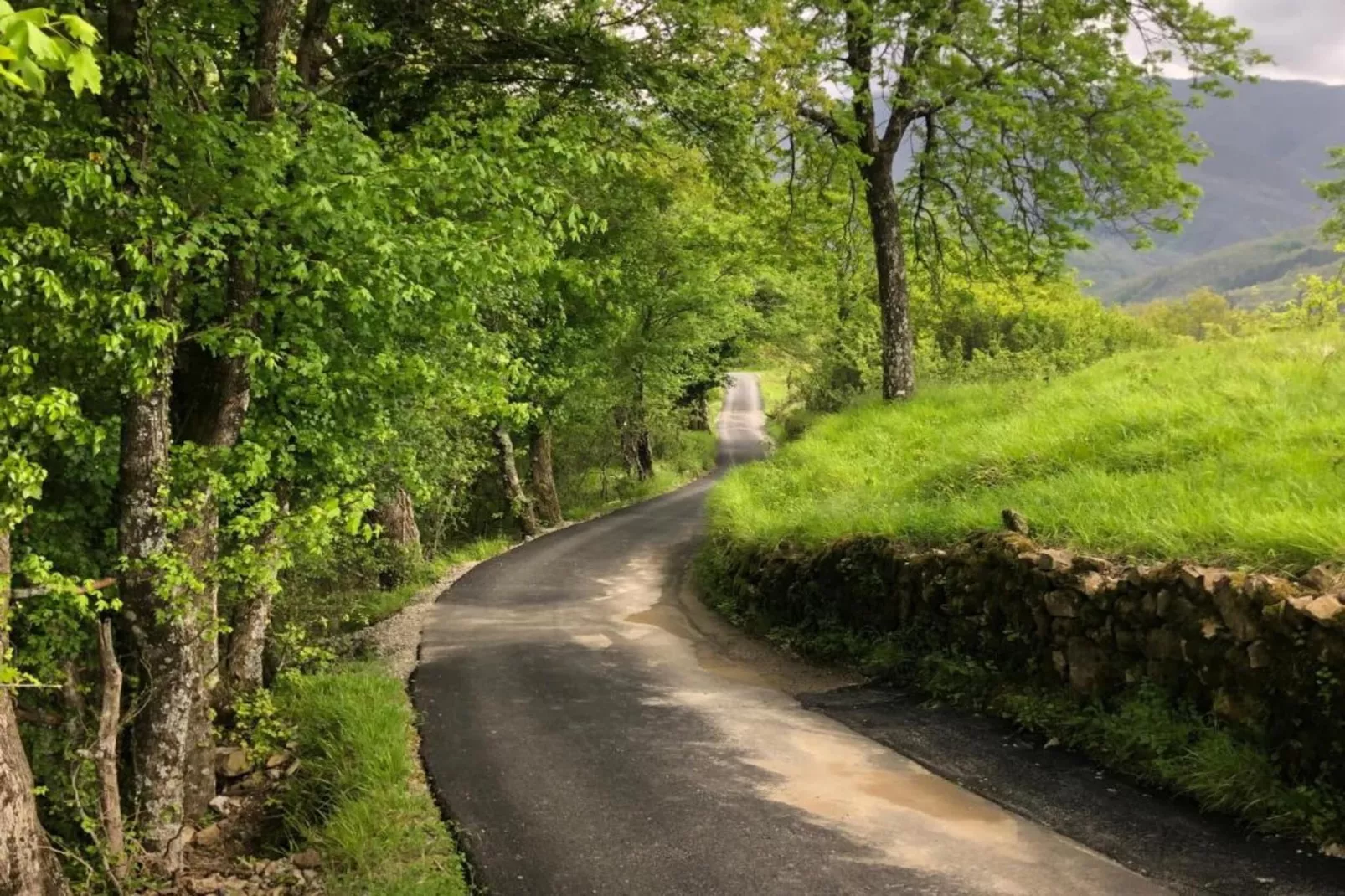 Val Di Lima Romantica-Areas within 5km in summer