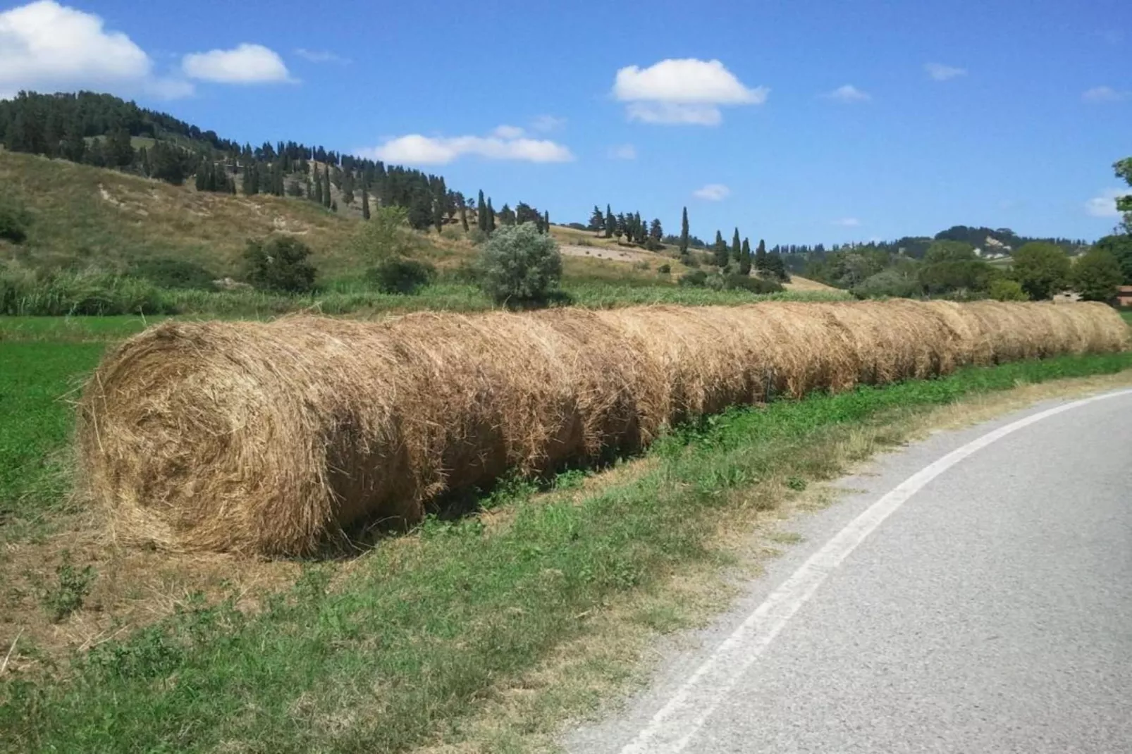 Pervinca-Areas summer 5km