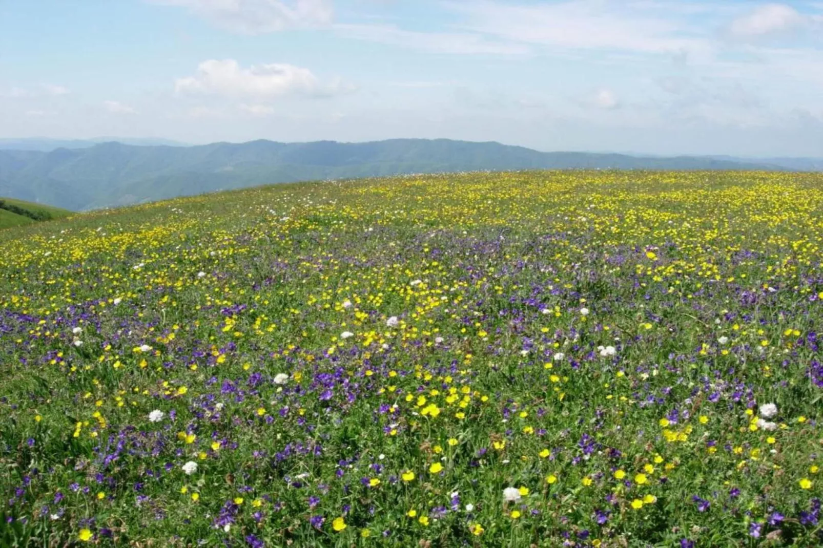Raggio di Sole Aurora-Areas within 20km in summer
