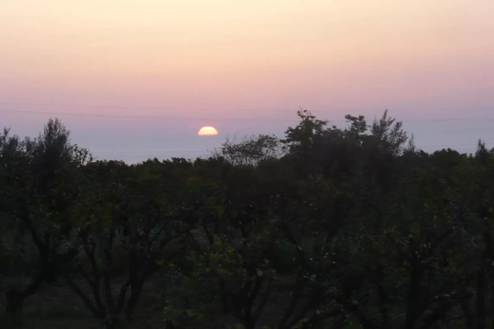 Appartamento Le Palme-Areas within 5km in summer