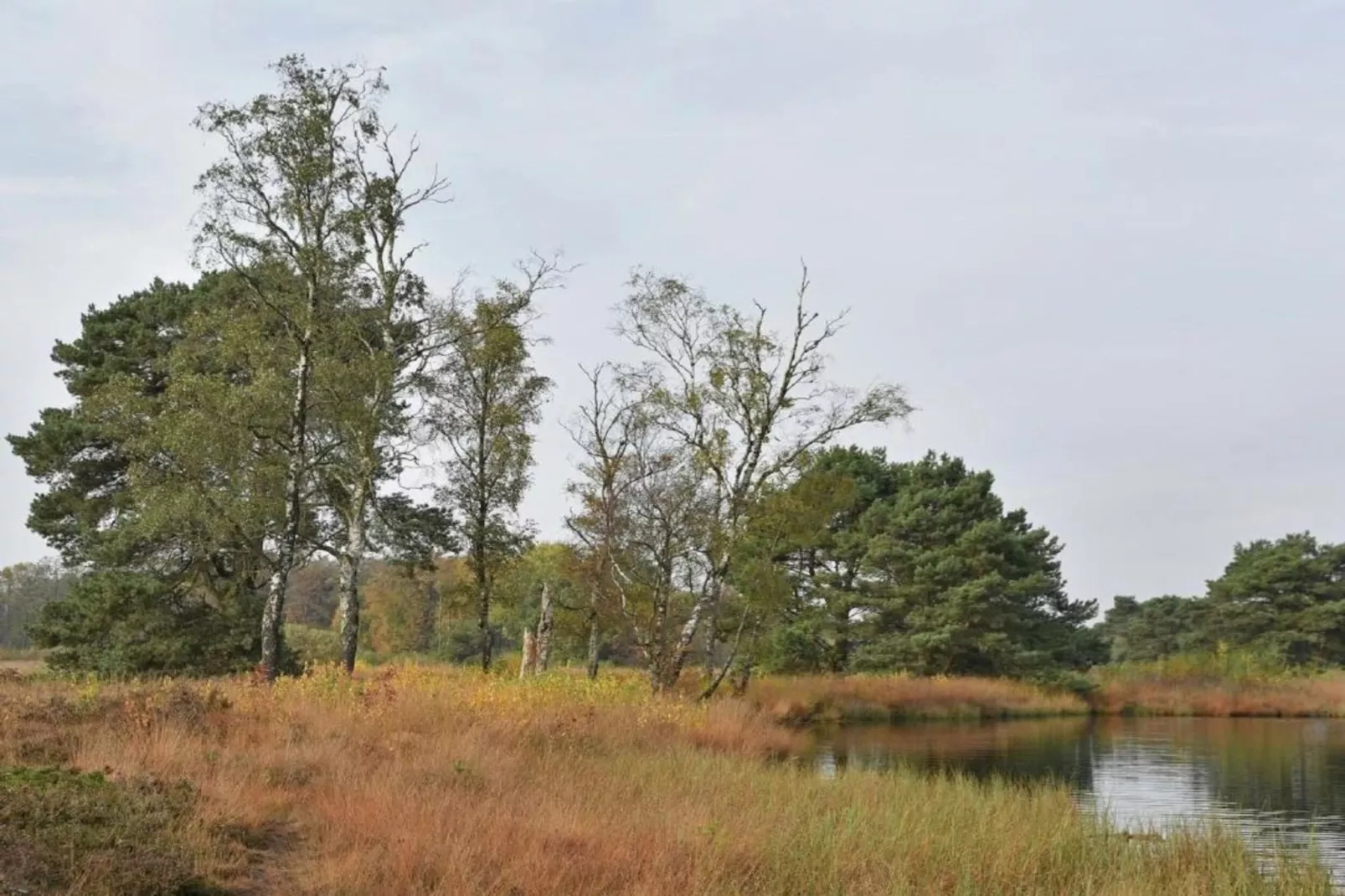 Tuinpad-Areas within 20km in summer