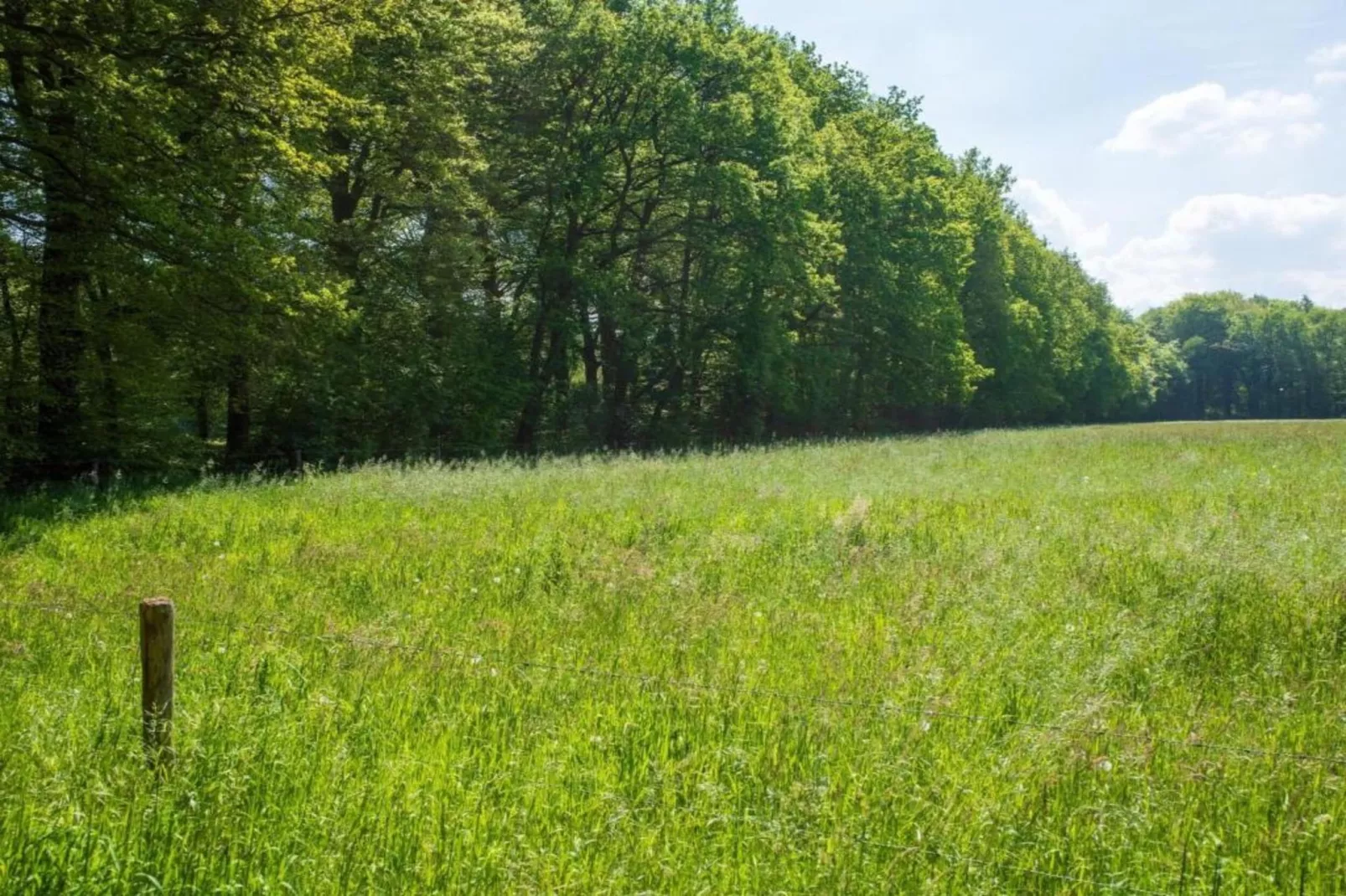 Kukeluusje-Gebiete Sommer 20 km