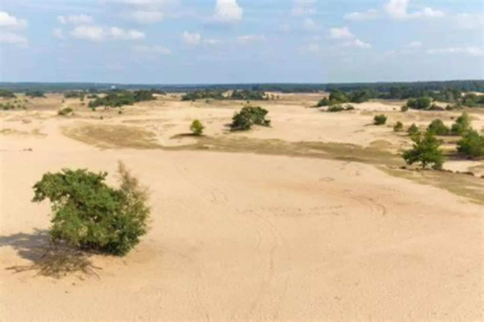 Reewold-Gebiete Sommer 20 km