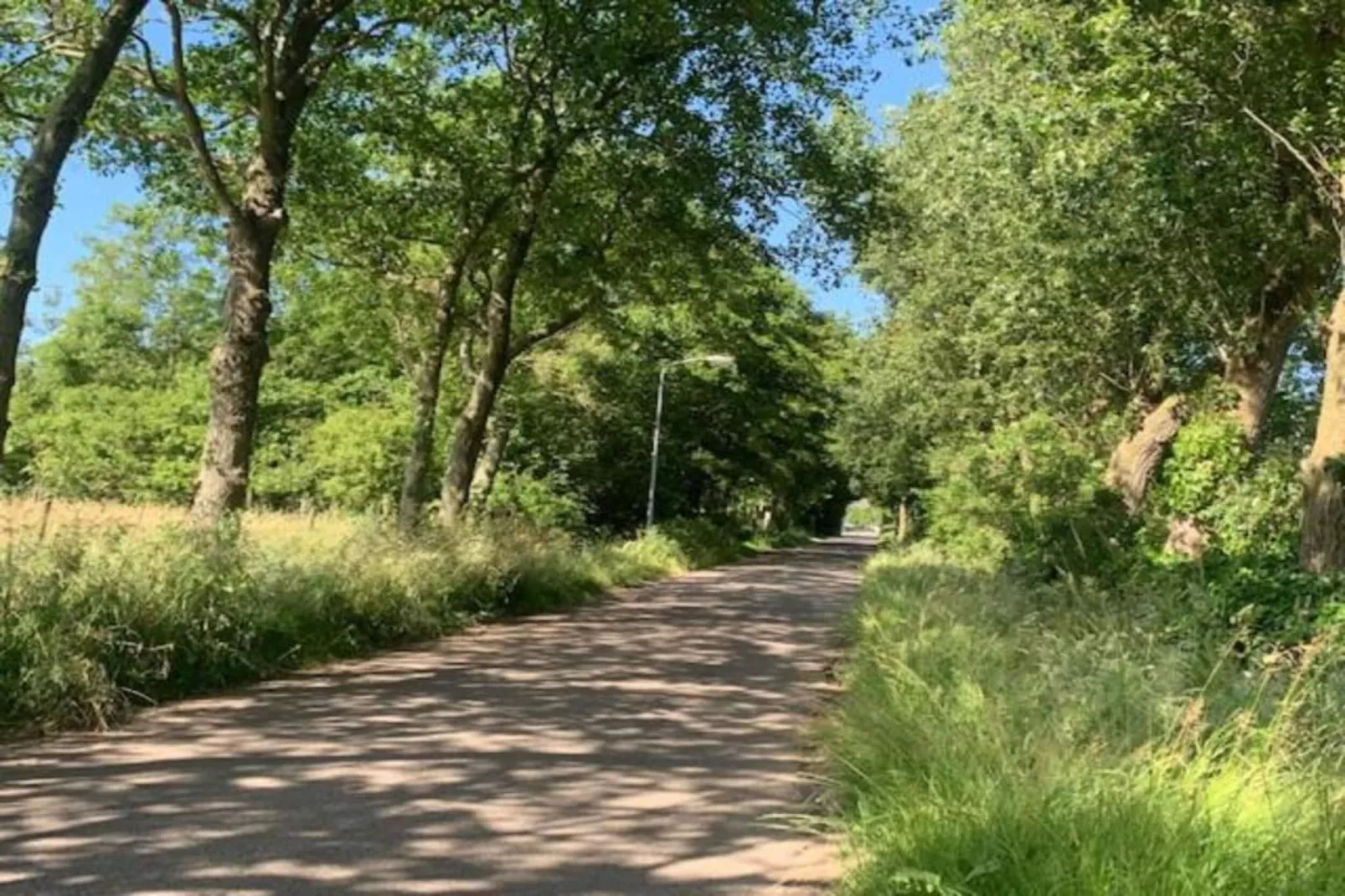 Recreatiepark Wiringherlant - Wiringher Chalet 83-Zones été à 20 km